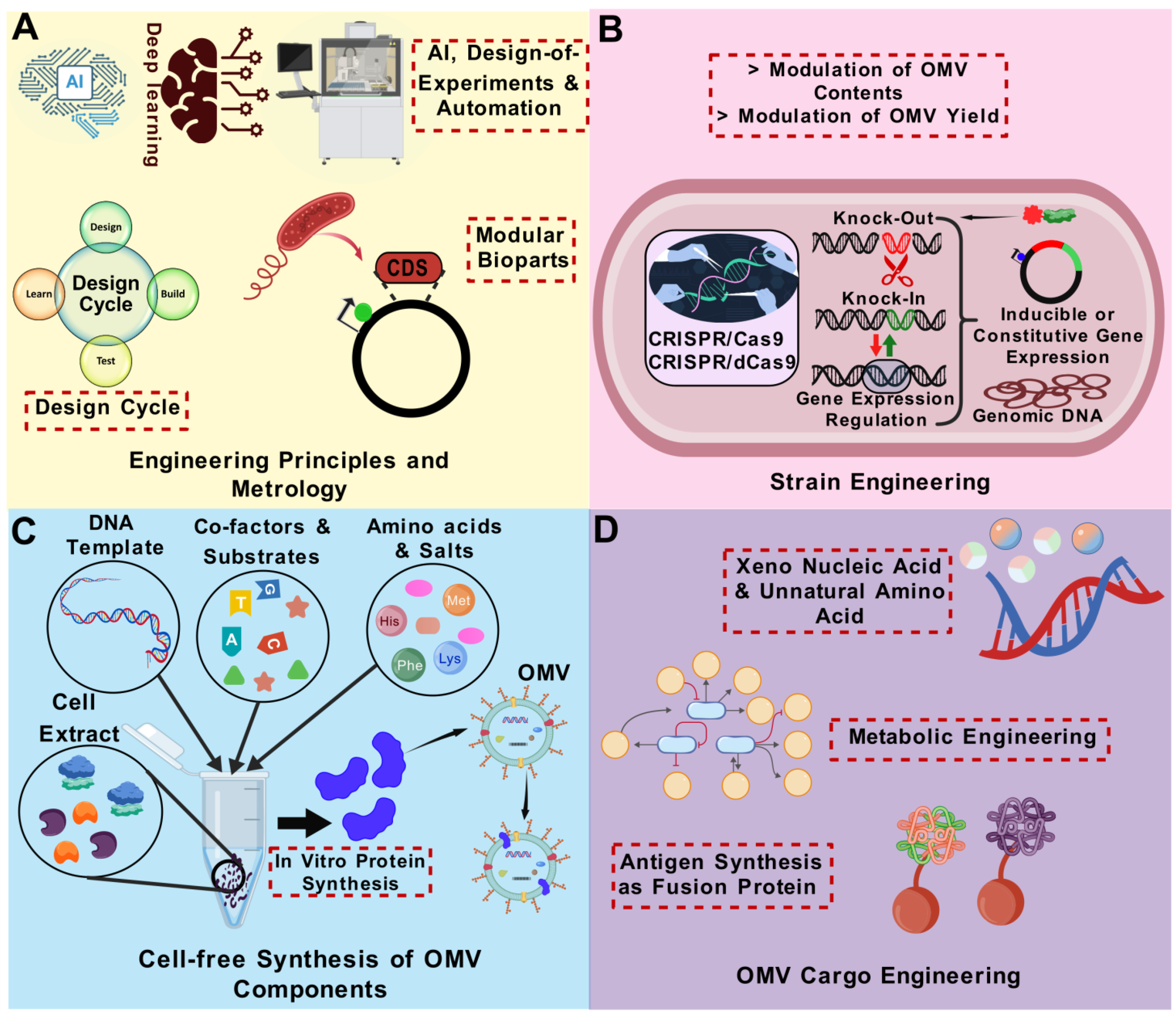 Vaccines 13 00767 g007 Vaccines 13 00767 g007