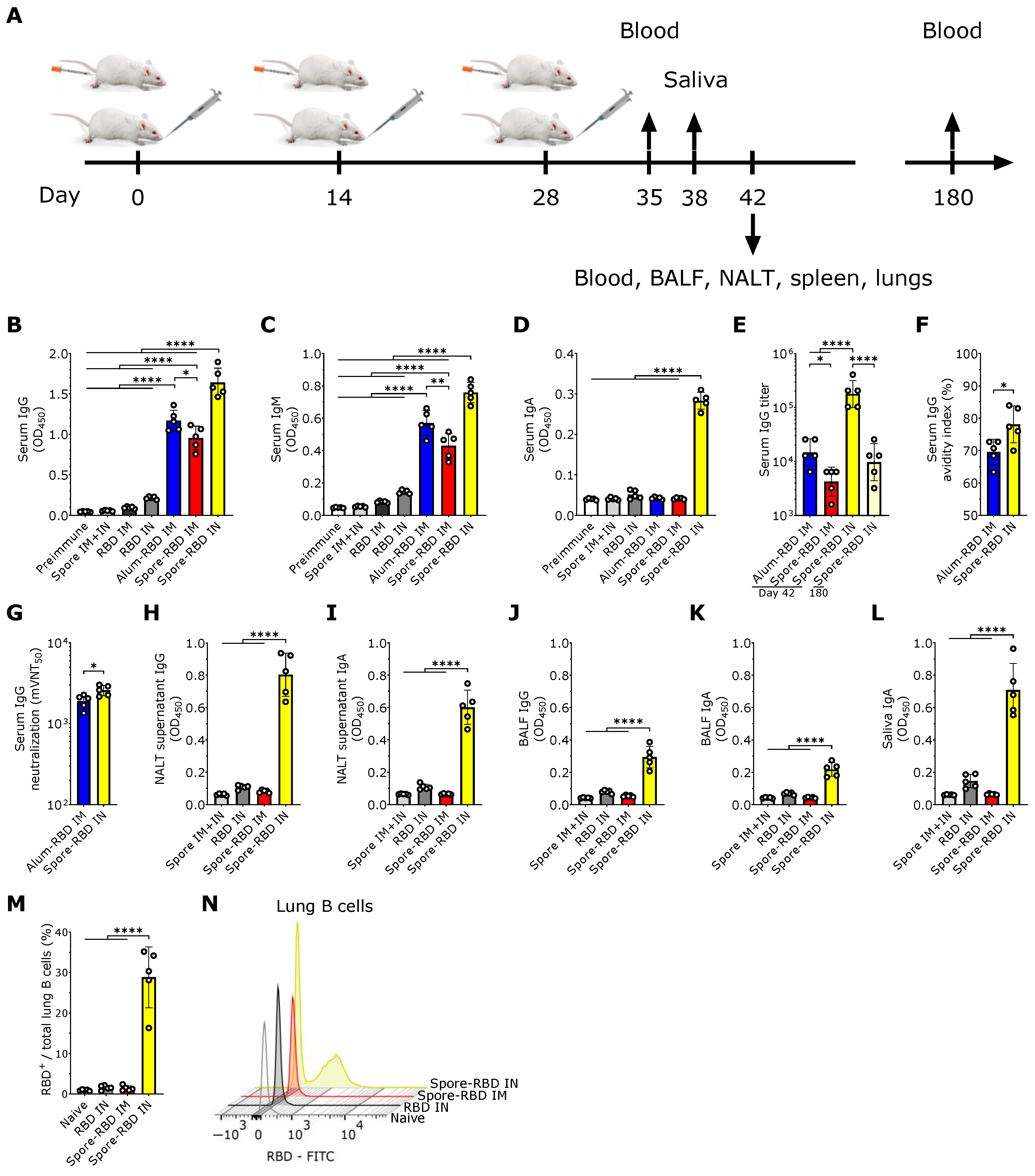 Vaccines 13 00772 g001