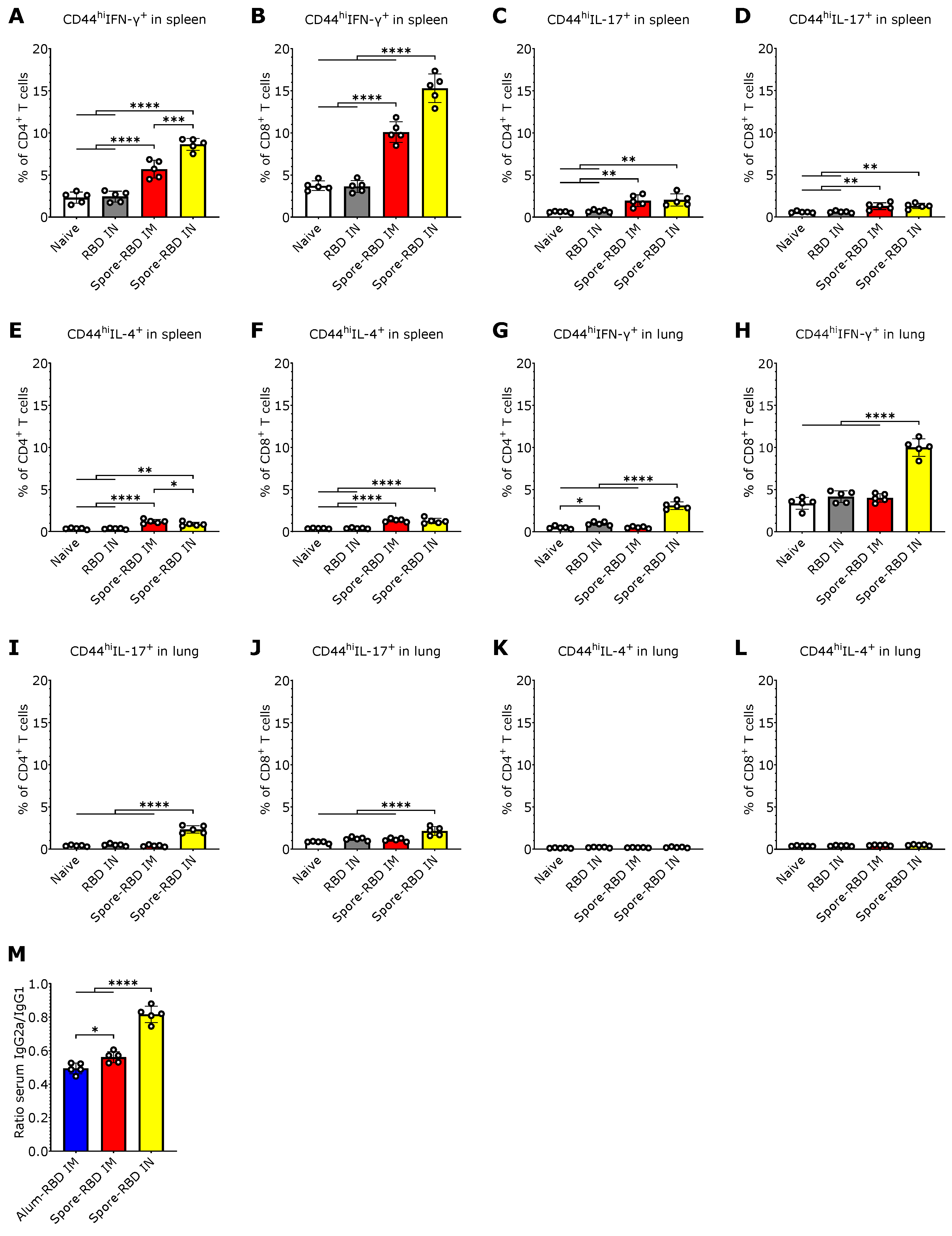 Vaccines 13 00772 g003