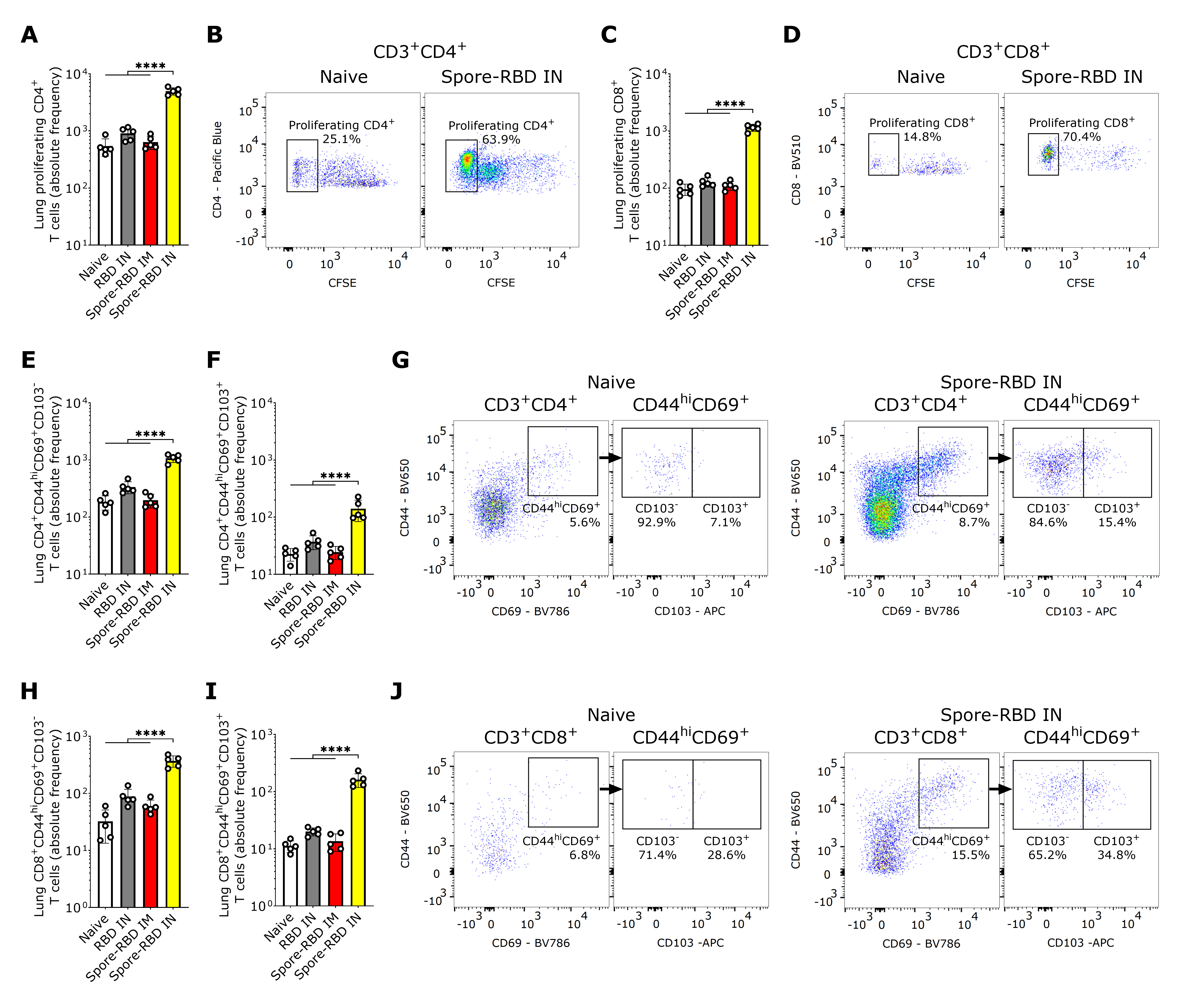 Vaccines 13 00772 g004