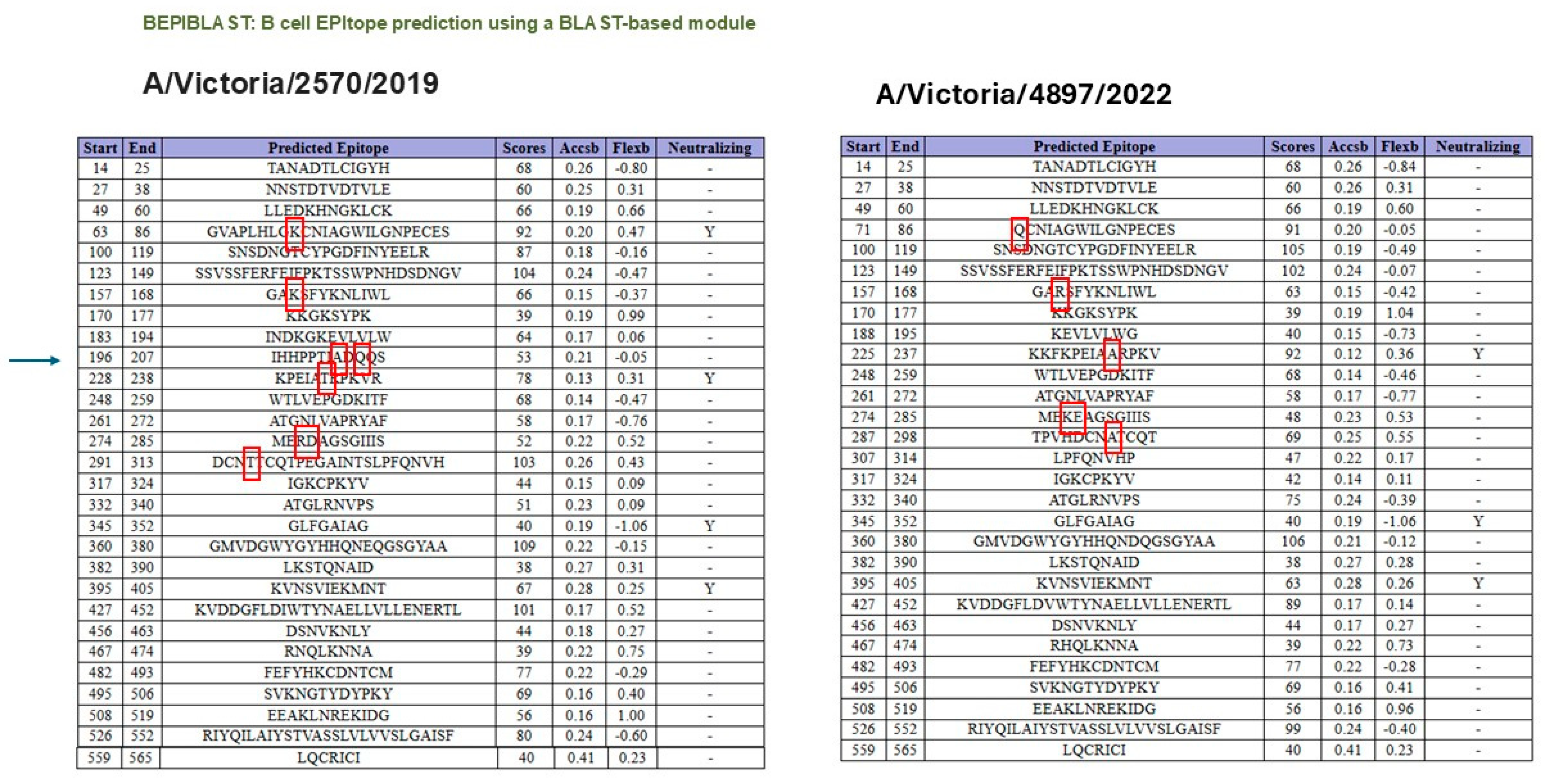 Vaccines 13 00774 g004 Vaccines 13 00774 g004