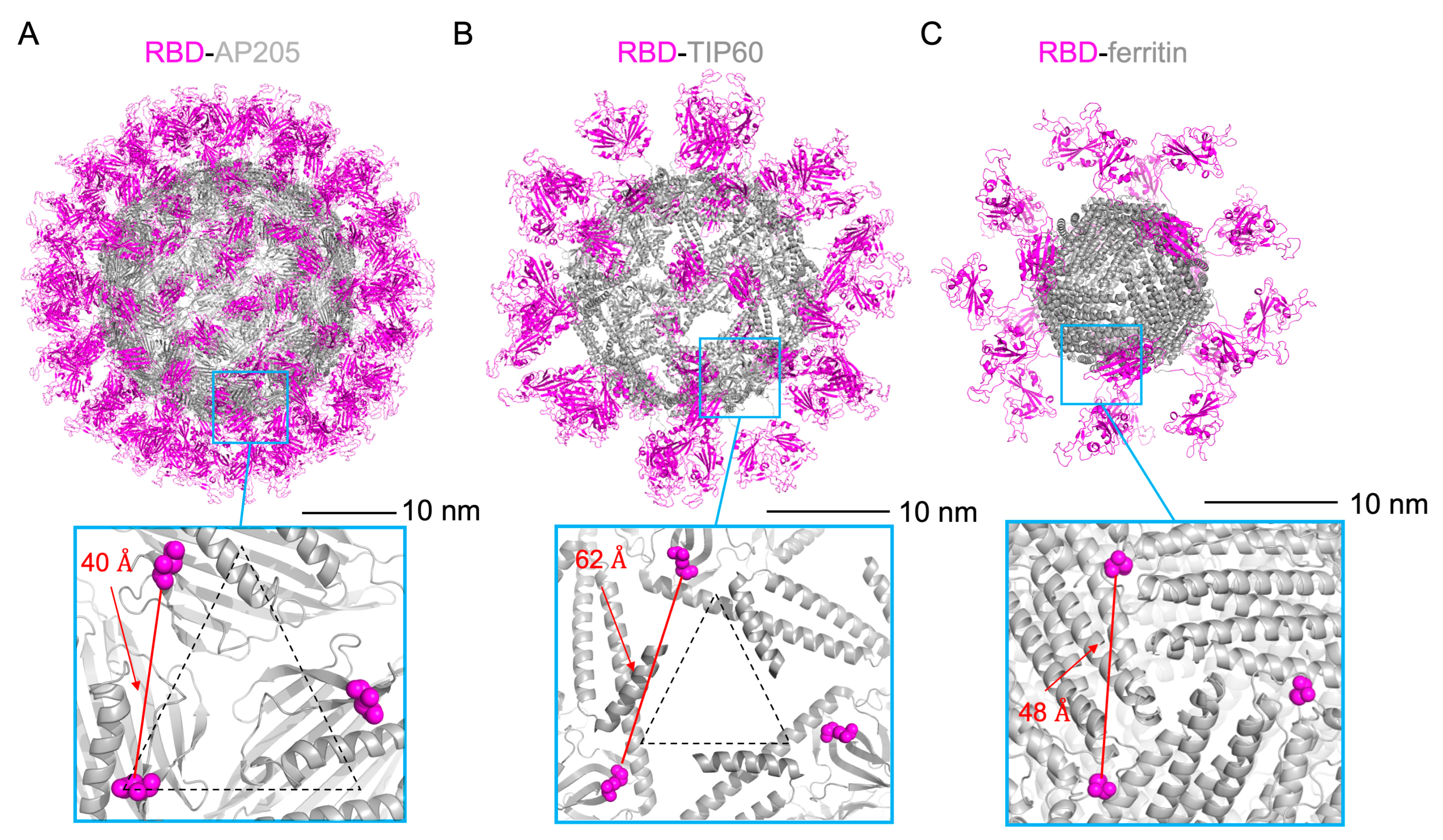Vaccines 13 00778 g001