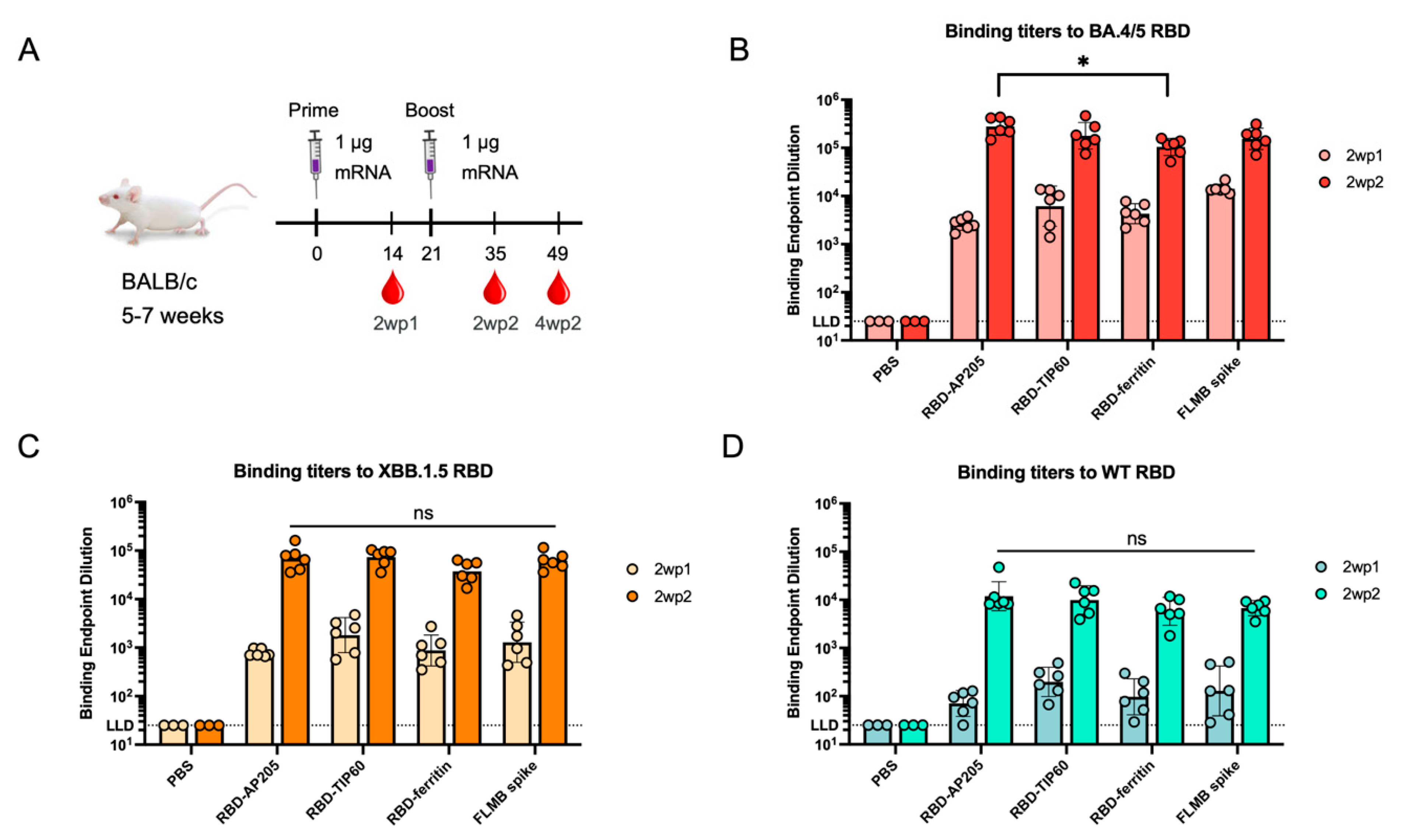 Vaccines 13 00778 g002
