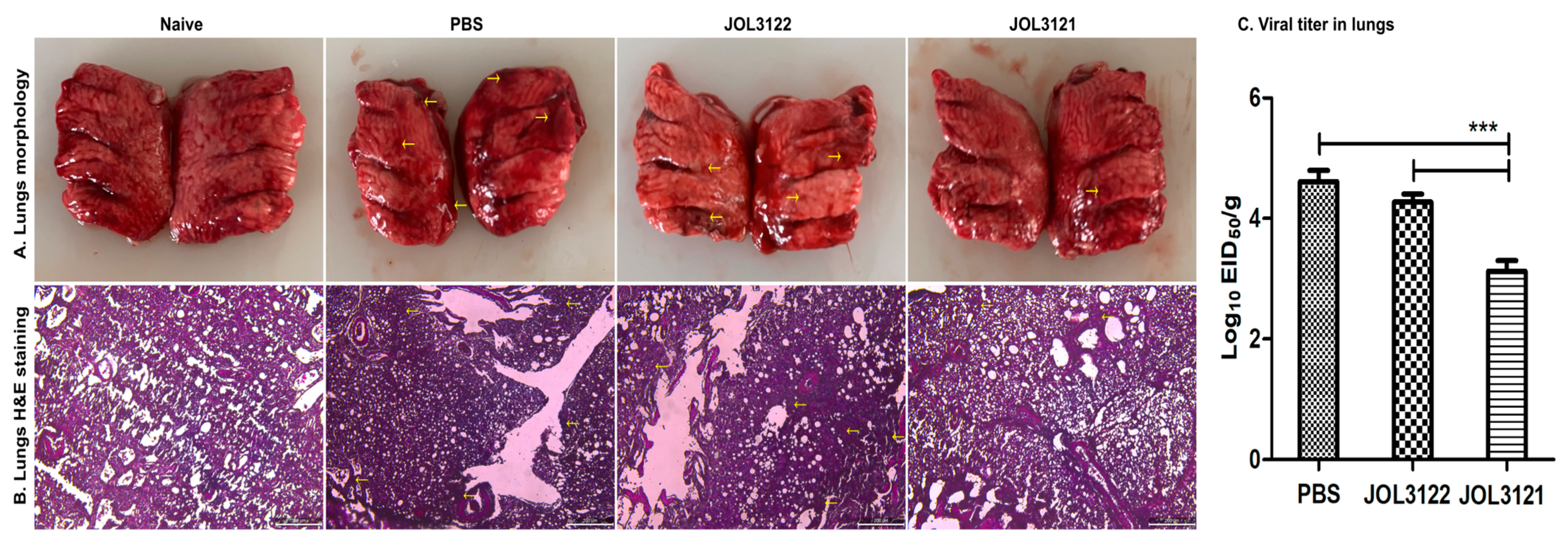 Vaccines 13 00790 g006