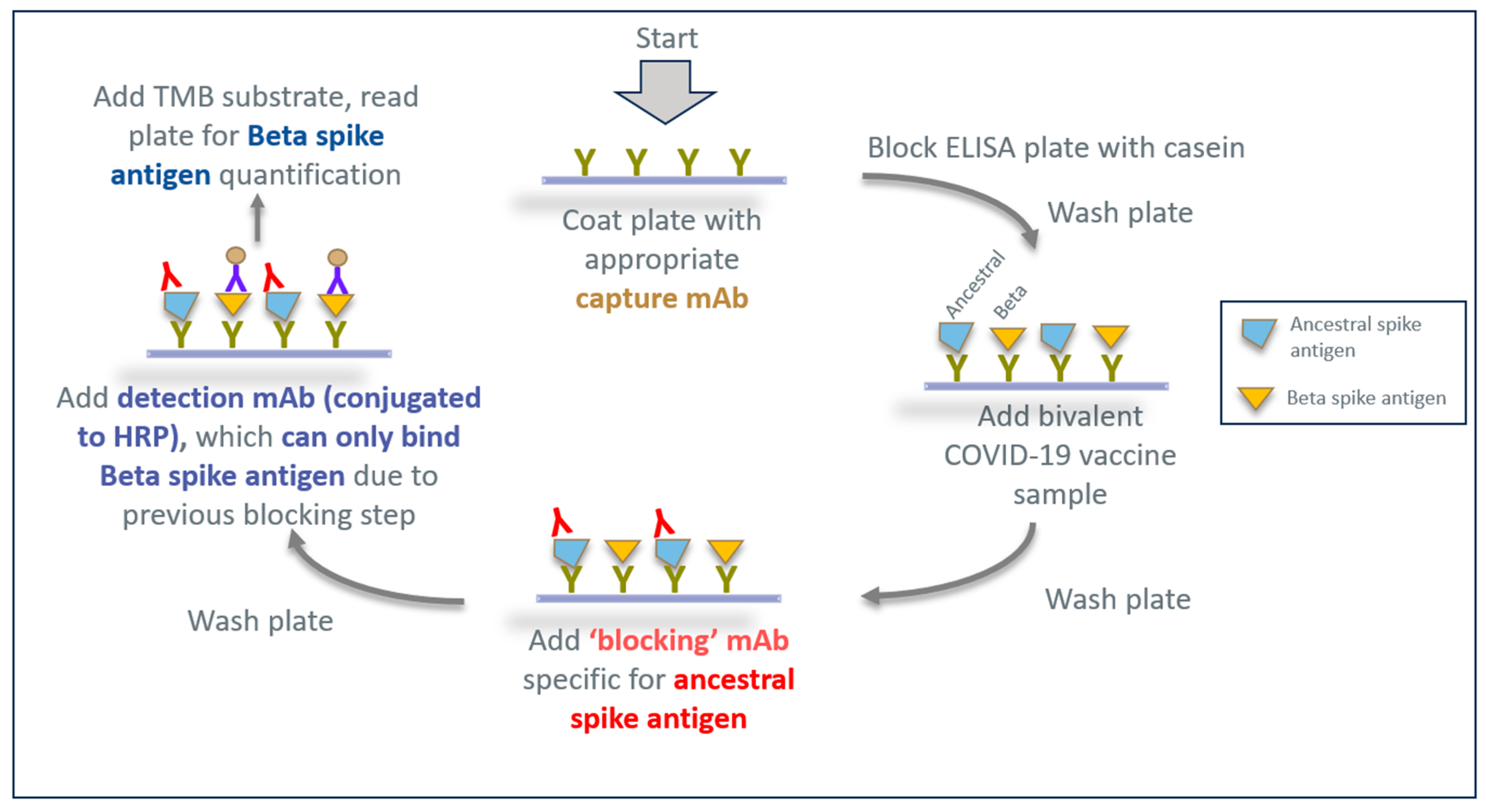 Vaccines 13 00794 g003