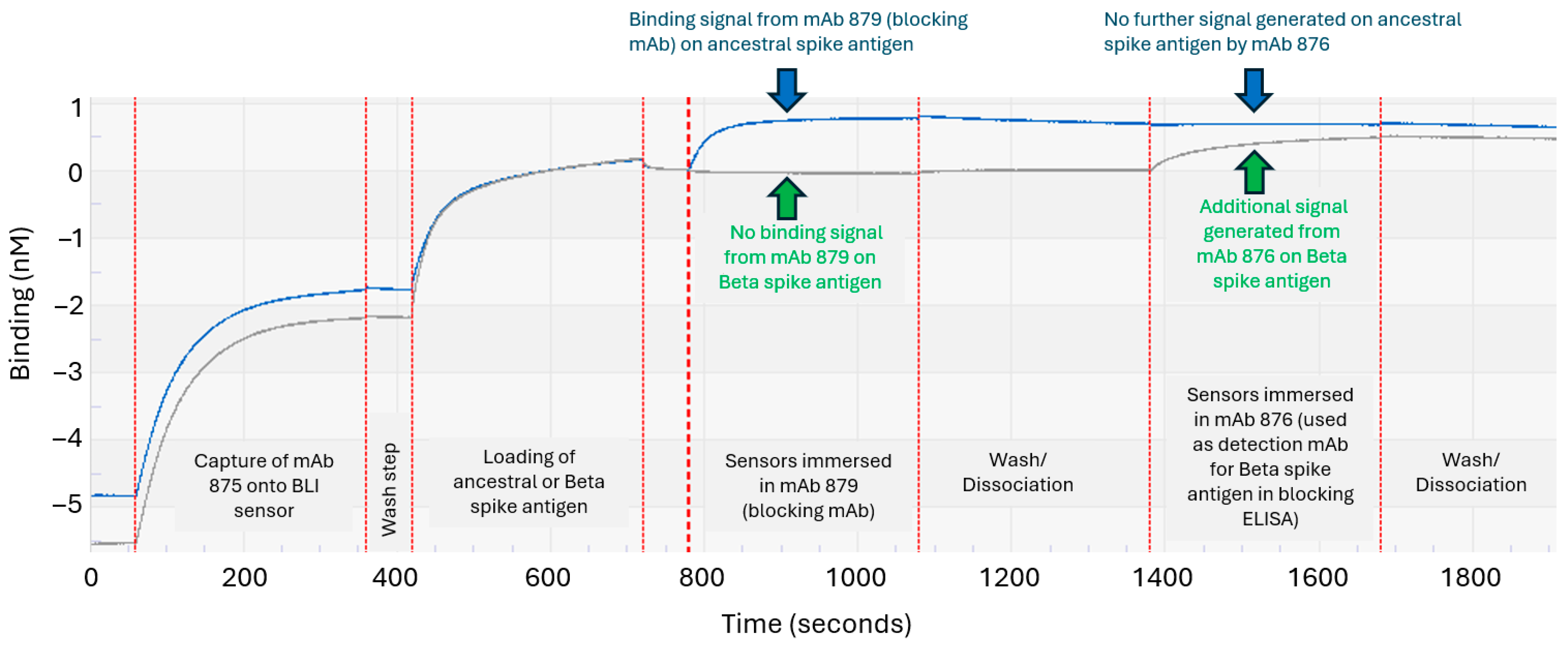 Vaccines 13 00794 g005