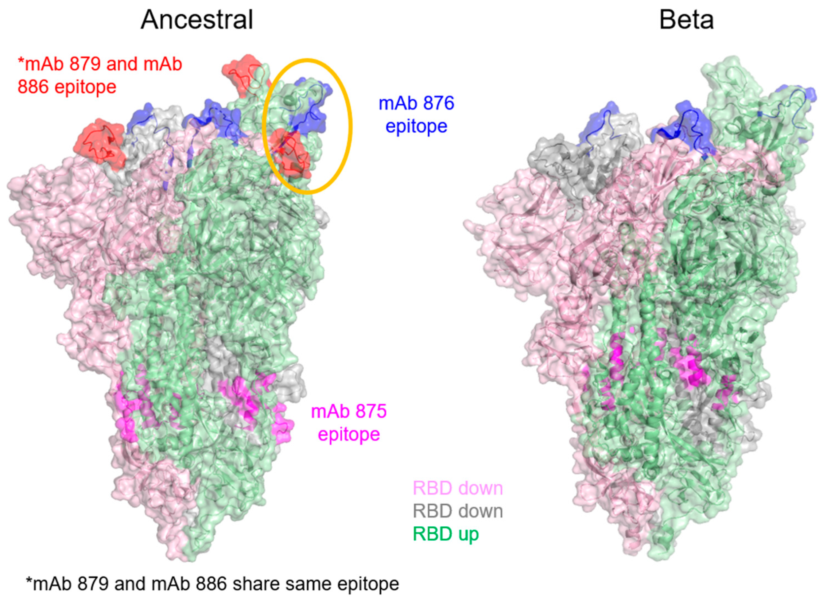 Vaccines 13 00794 g006