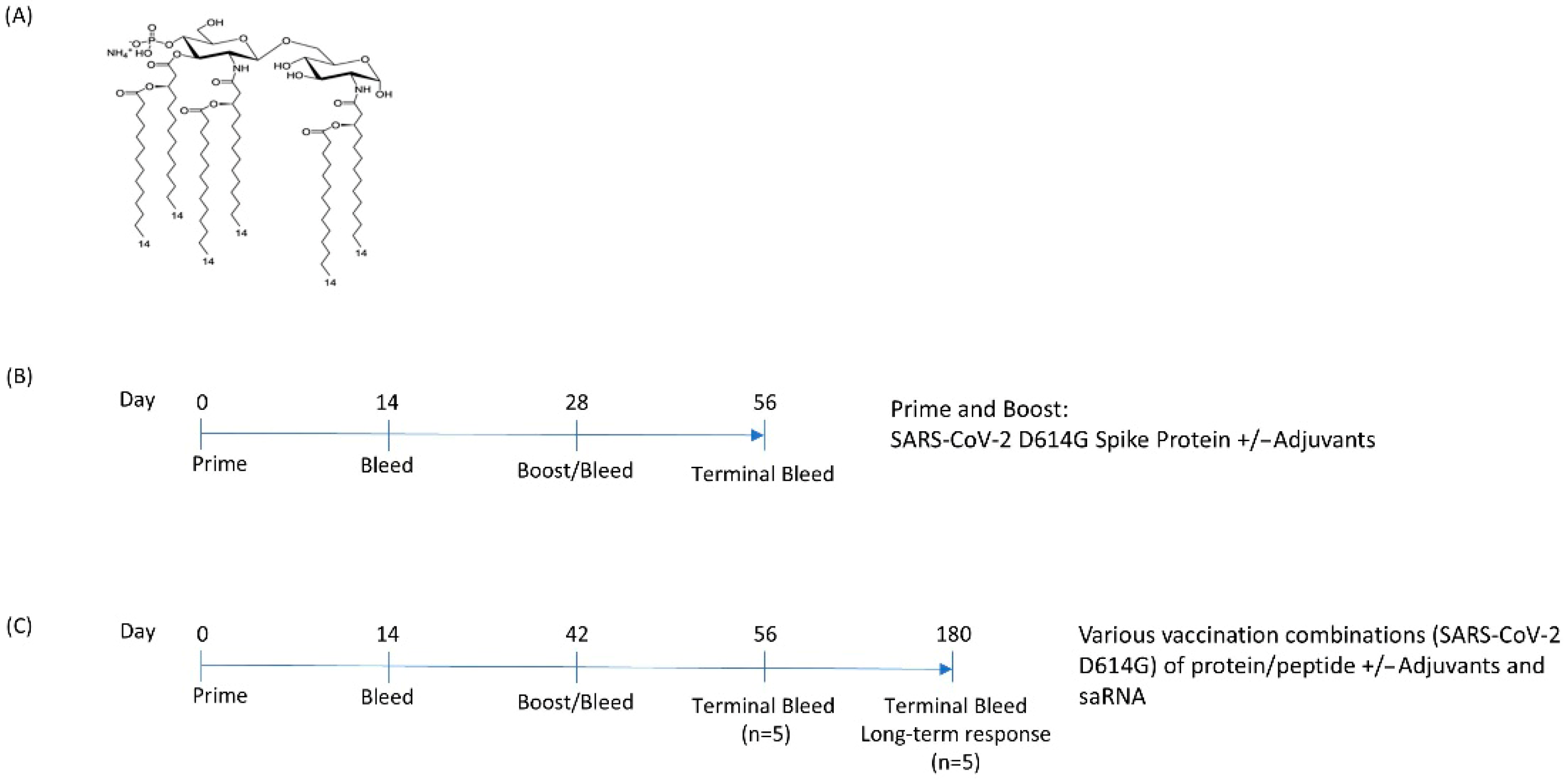 Vaccines 13 00797 g001