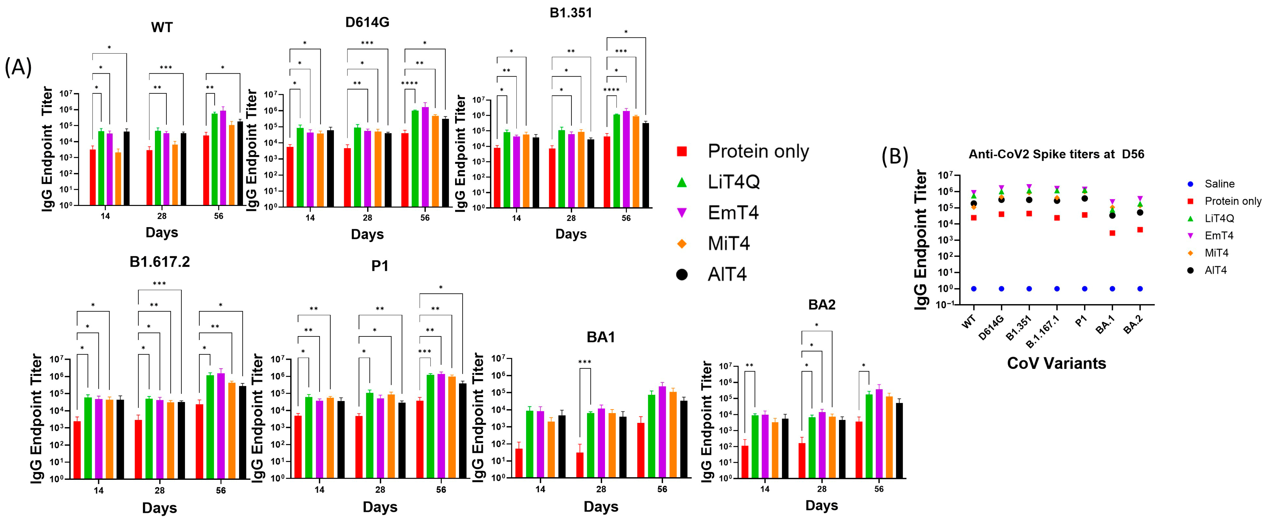 Vaccines 13 00797 g002