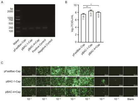 Vaccines 13 00801 g003