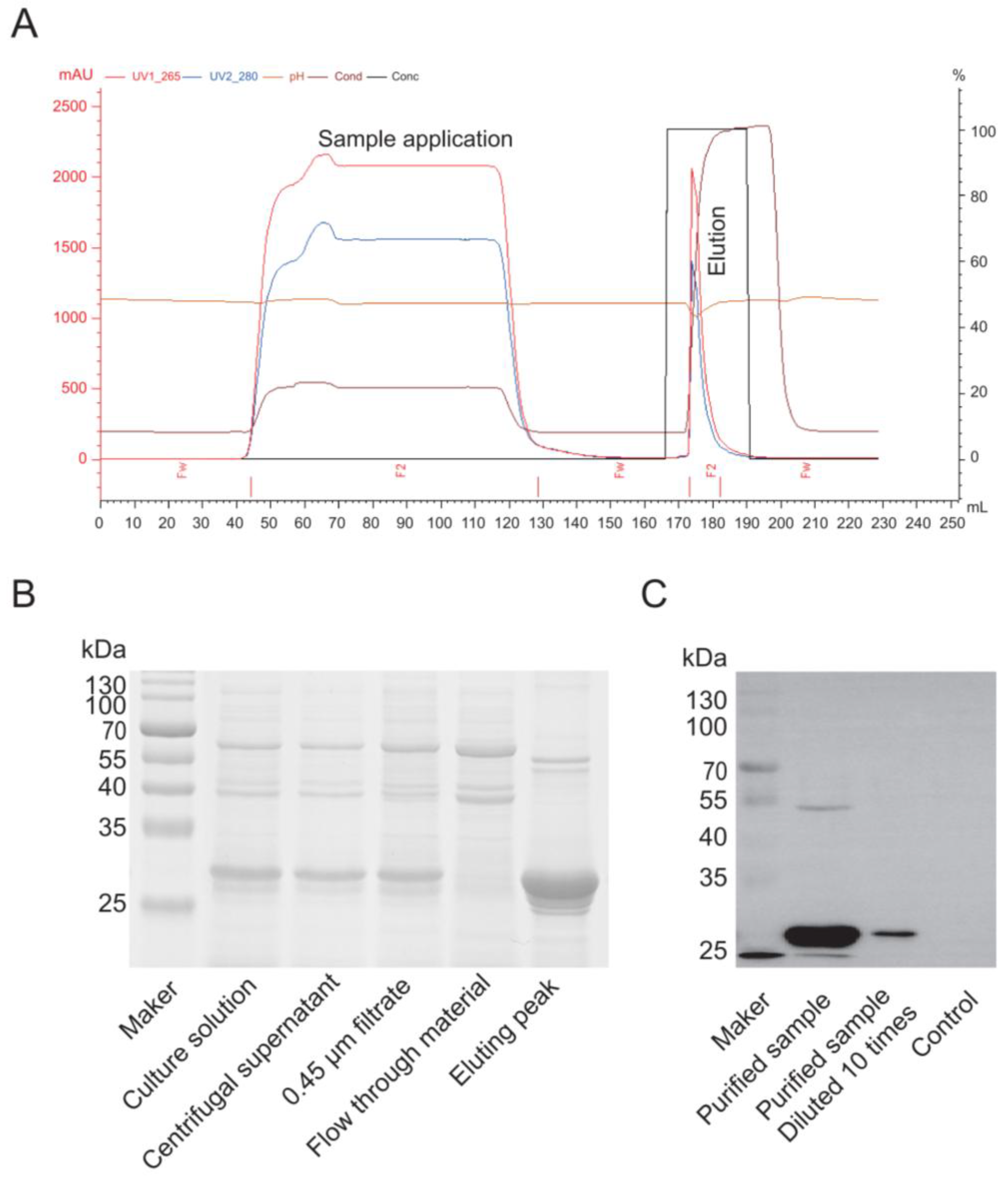 Vaccines 13 00801 g006