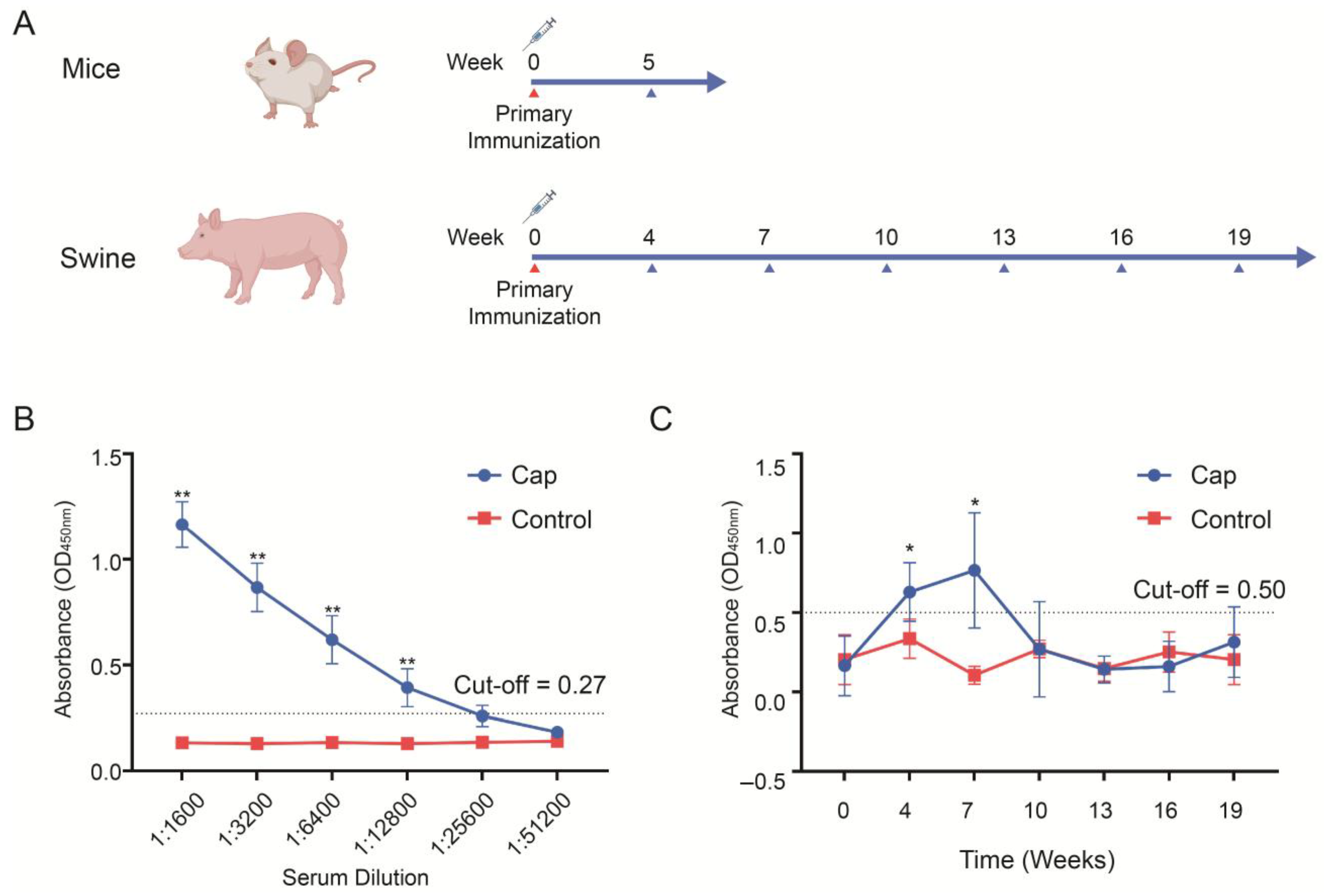 Vaccines 13 00801 g007