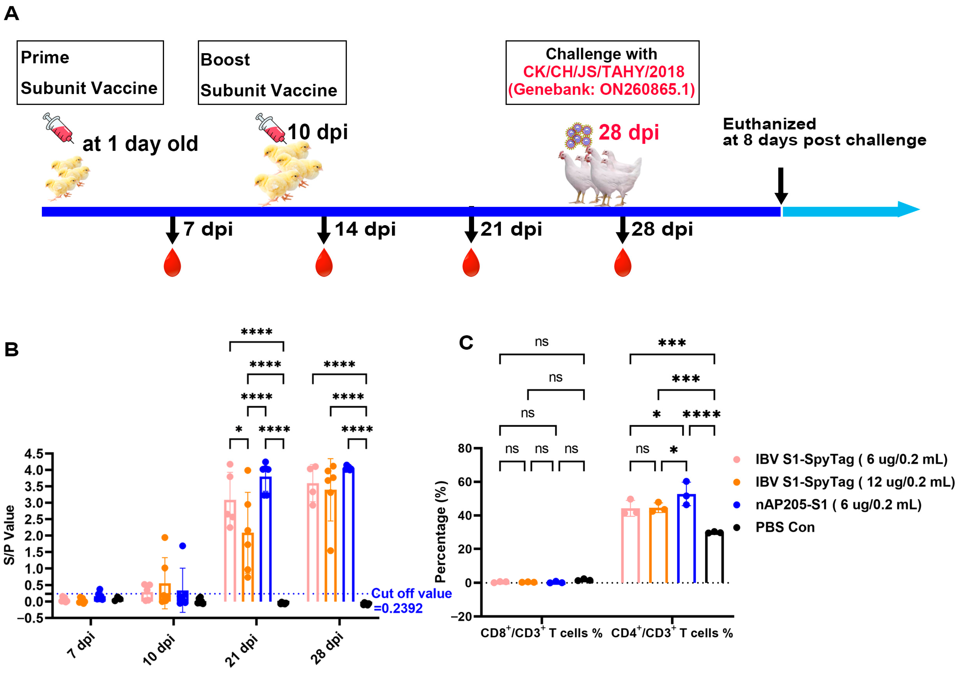 Vaccines 13 00802 g004