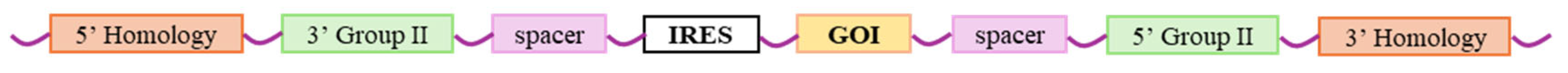 Vaccines 13 00821 g004