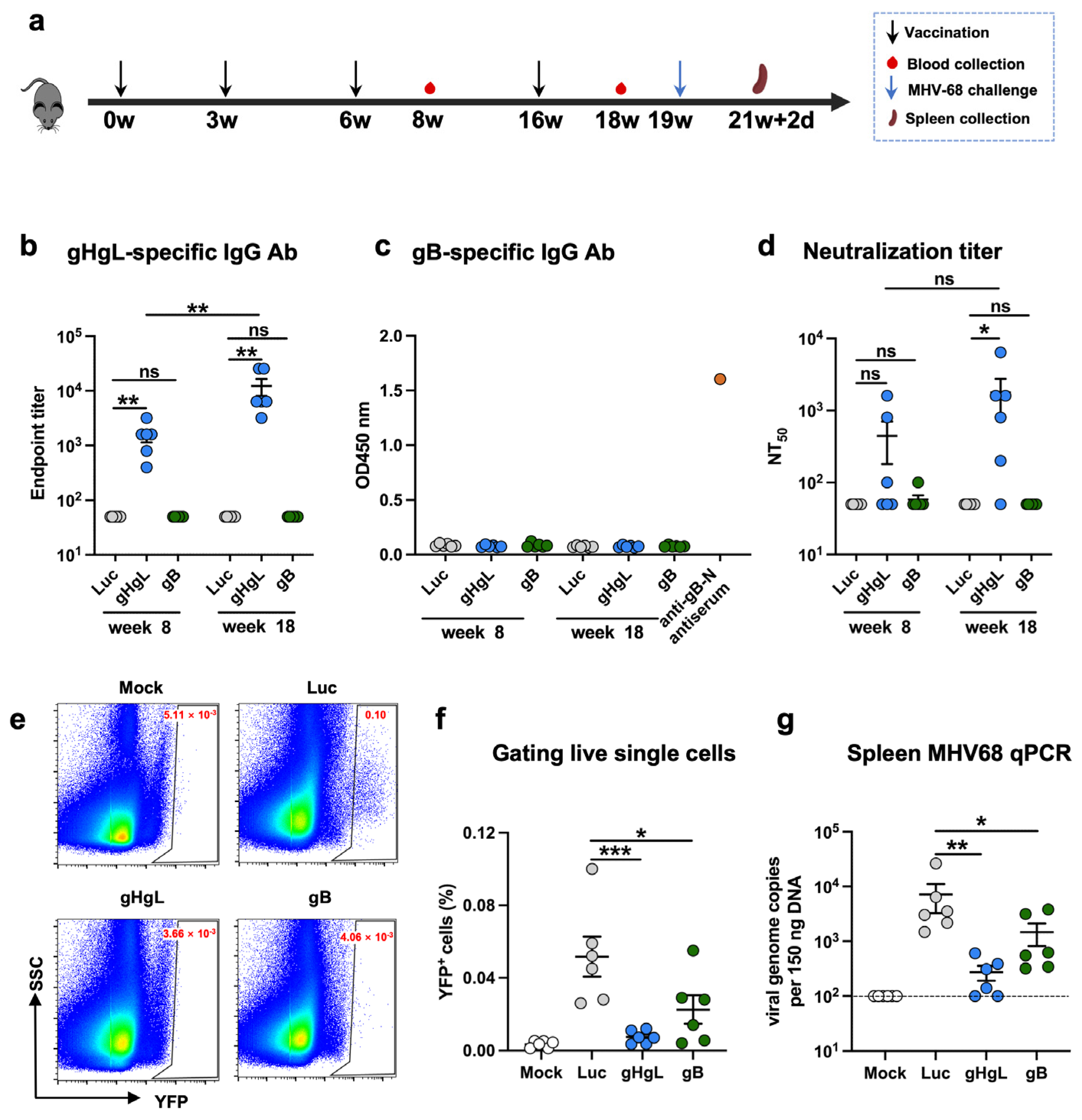 Vaccines 13 00830 g002 Vaccines 13 00830 g002