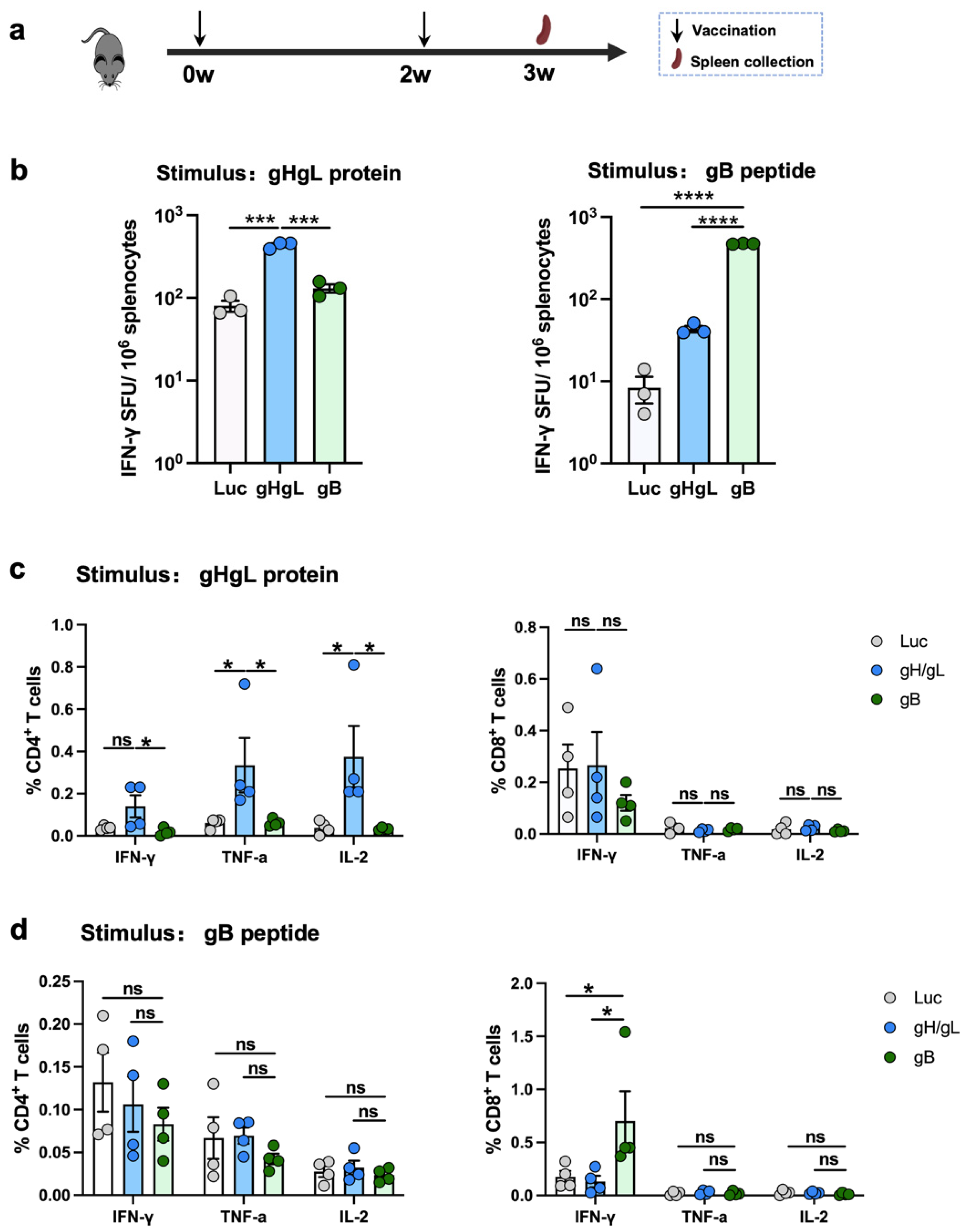 Vaccines 13 00830 g003 Vaccines 13 00830 g003