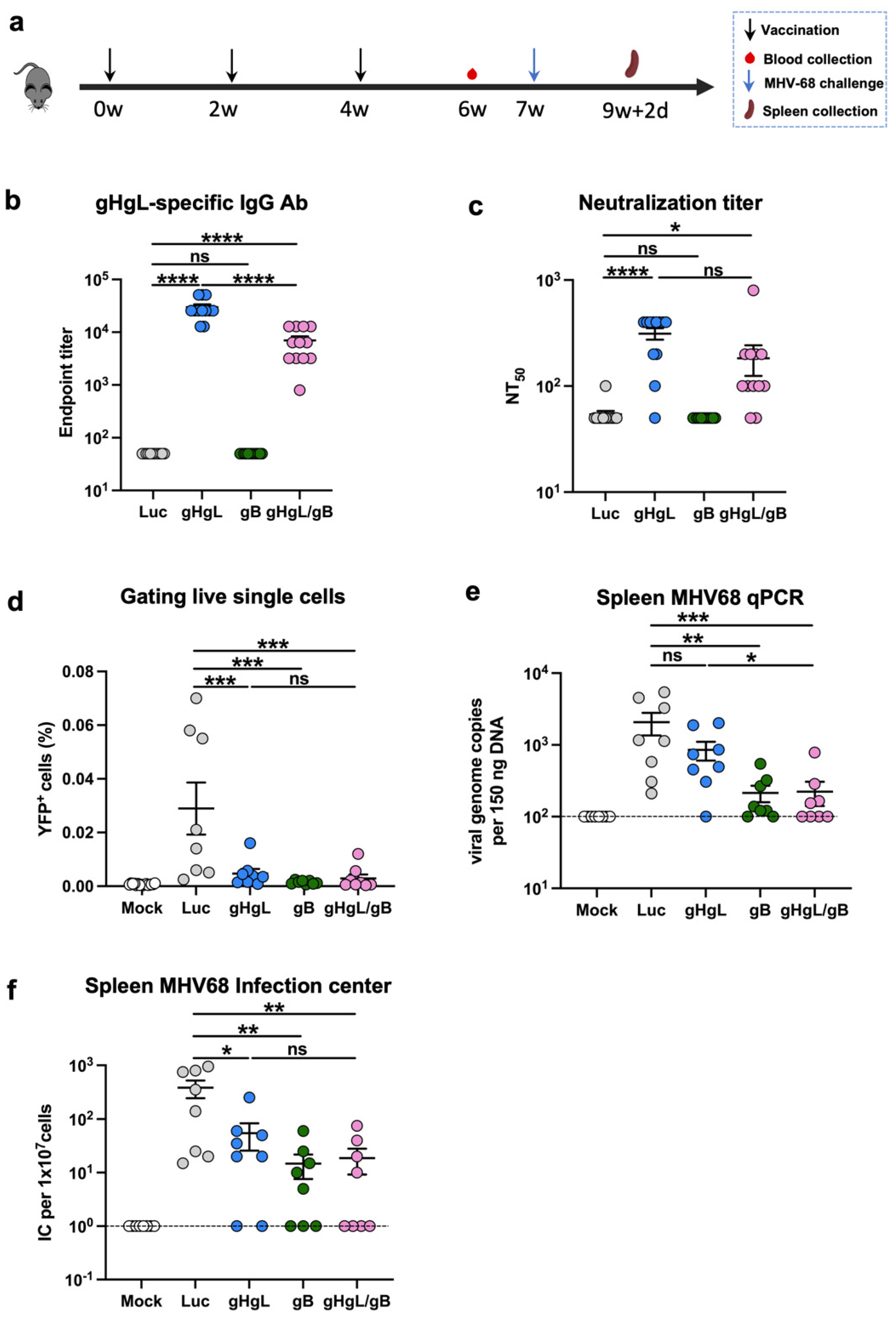 Vaccines 13 00830 g004 Vaccines 13 00830 g004