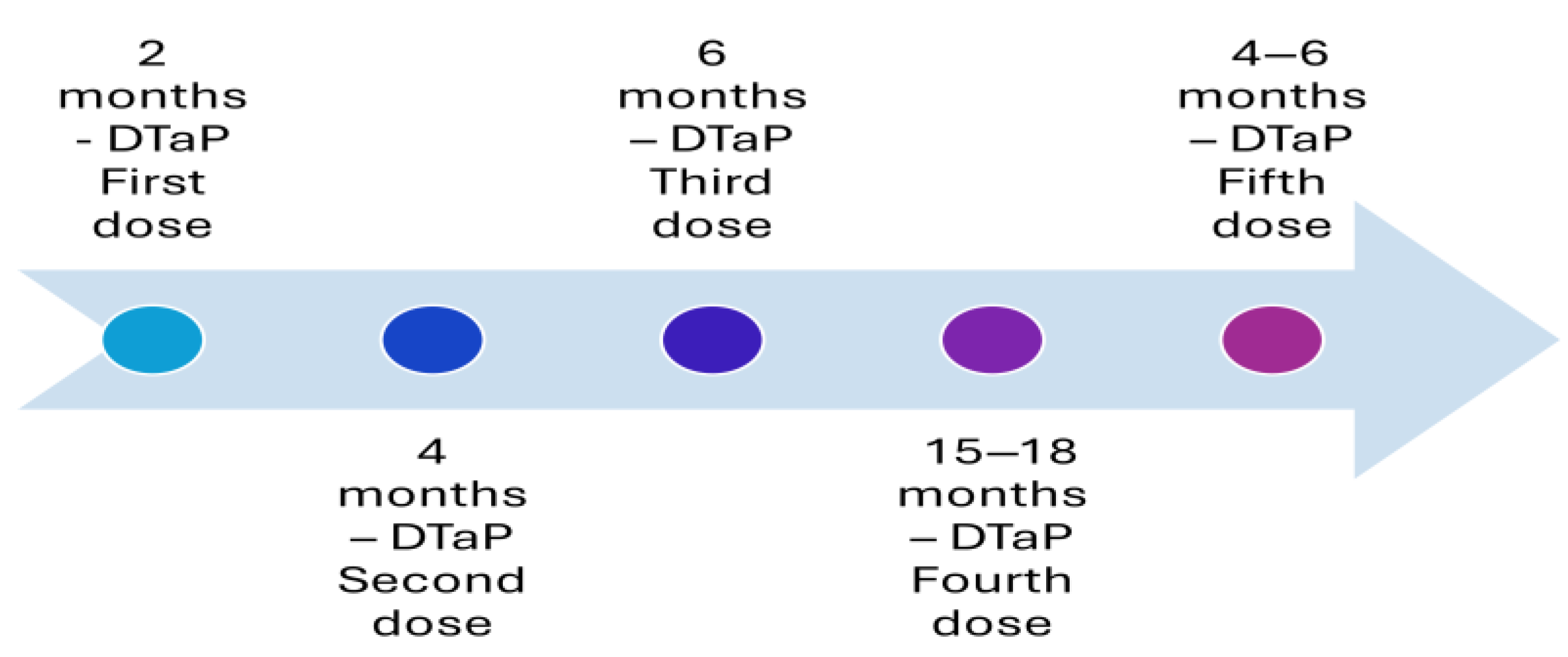 Vaccines 13 00841 g002