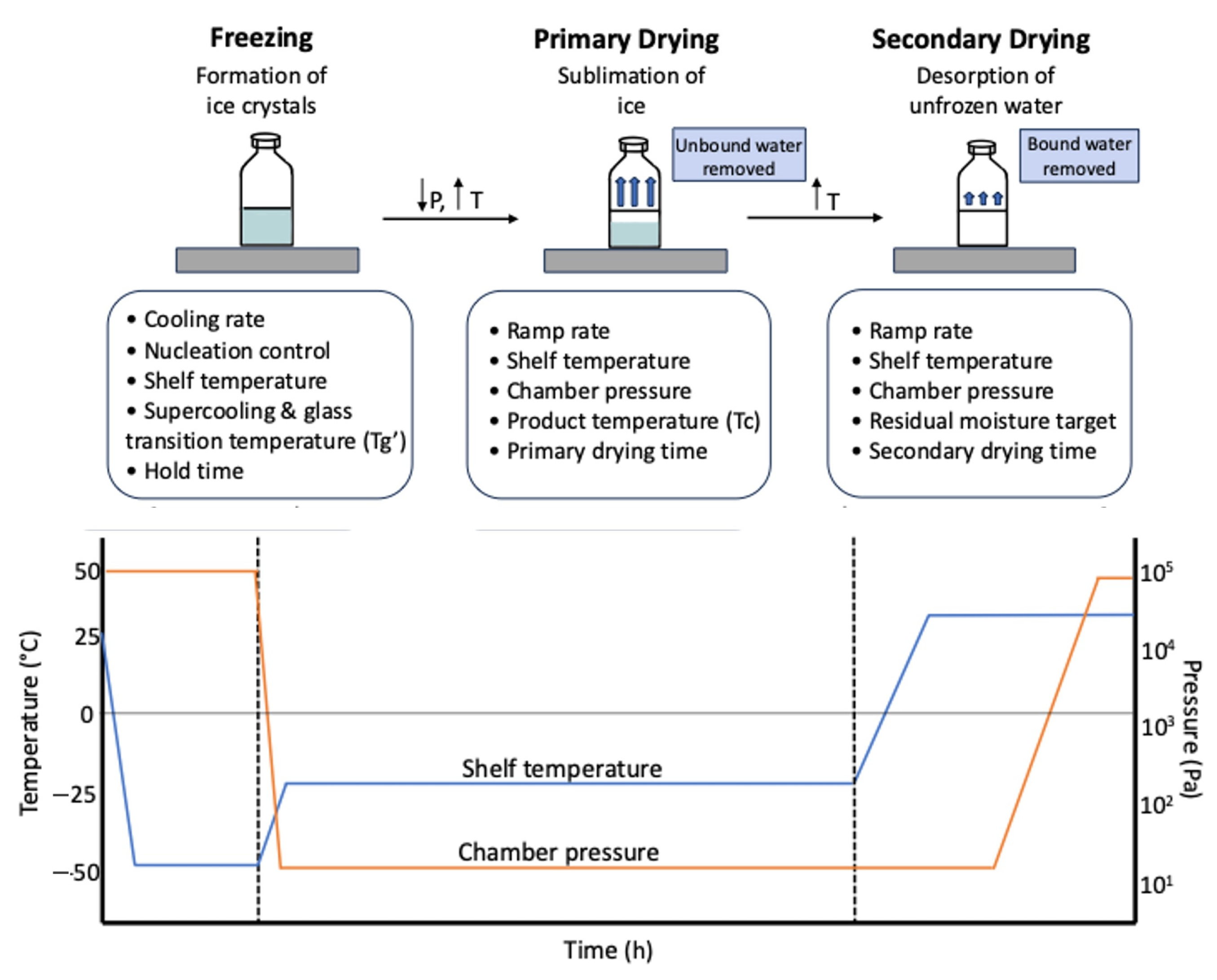 Vaccines 13 00853 g003 Vaccines 13 00853 g003