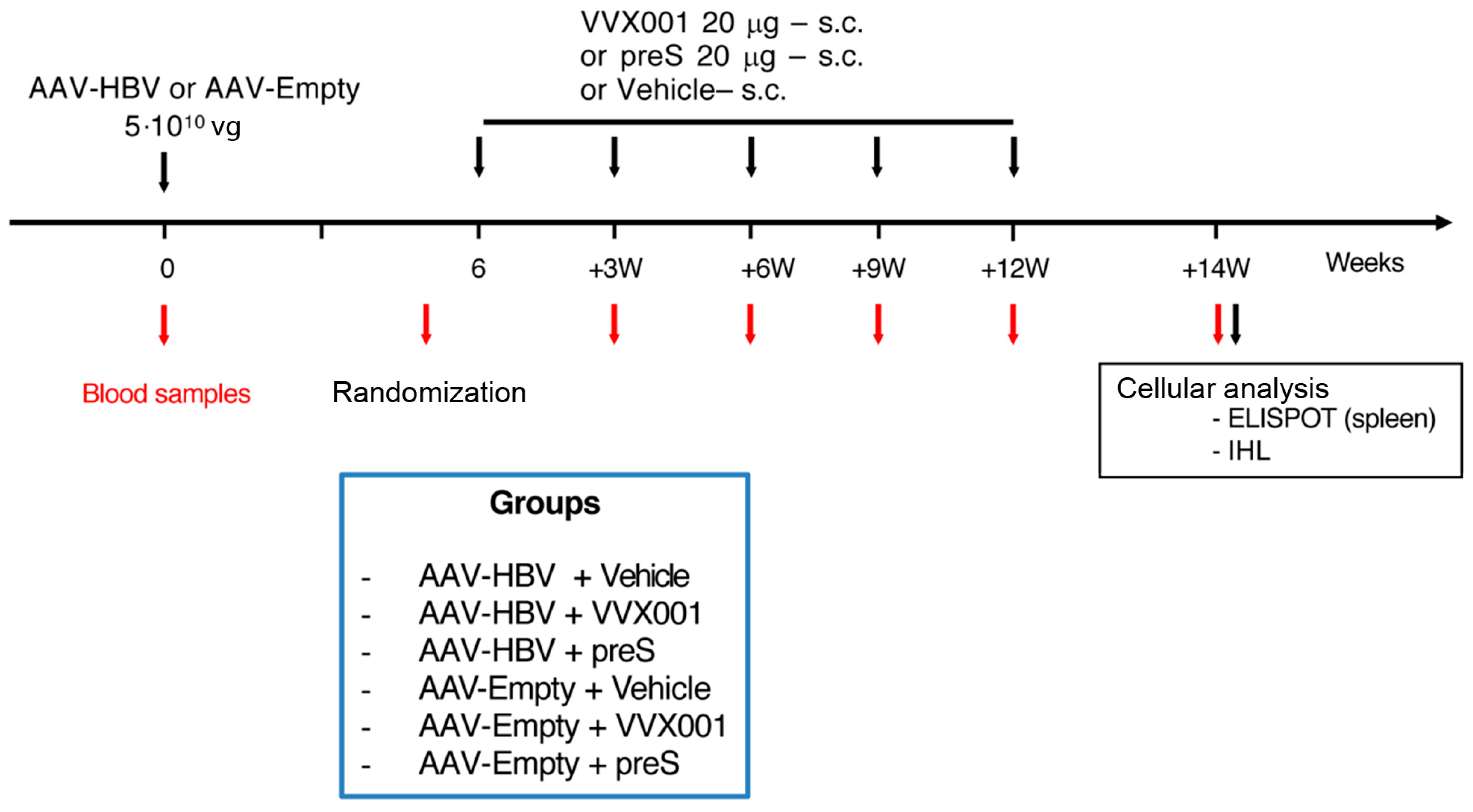 Vaccines 13 00854 g001