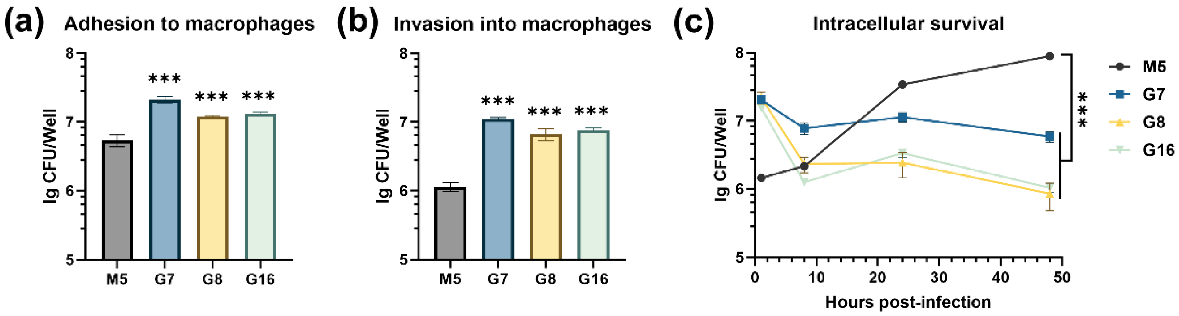 Vaccines 13 00857 g004