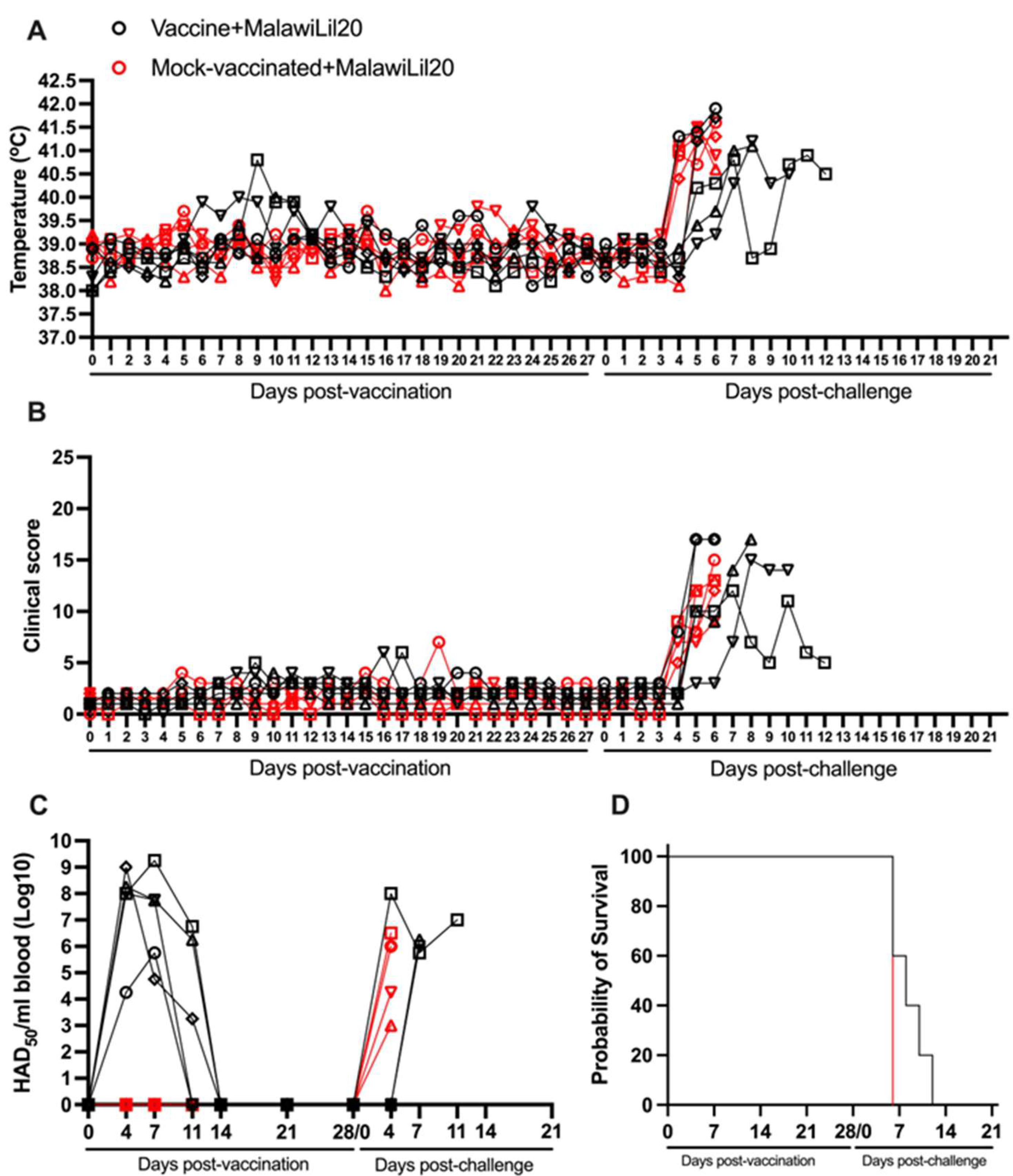 Vaccines 13 00858 g004