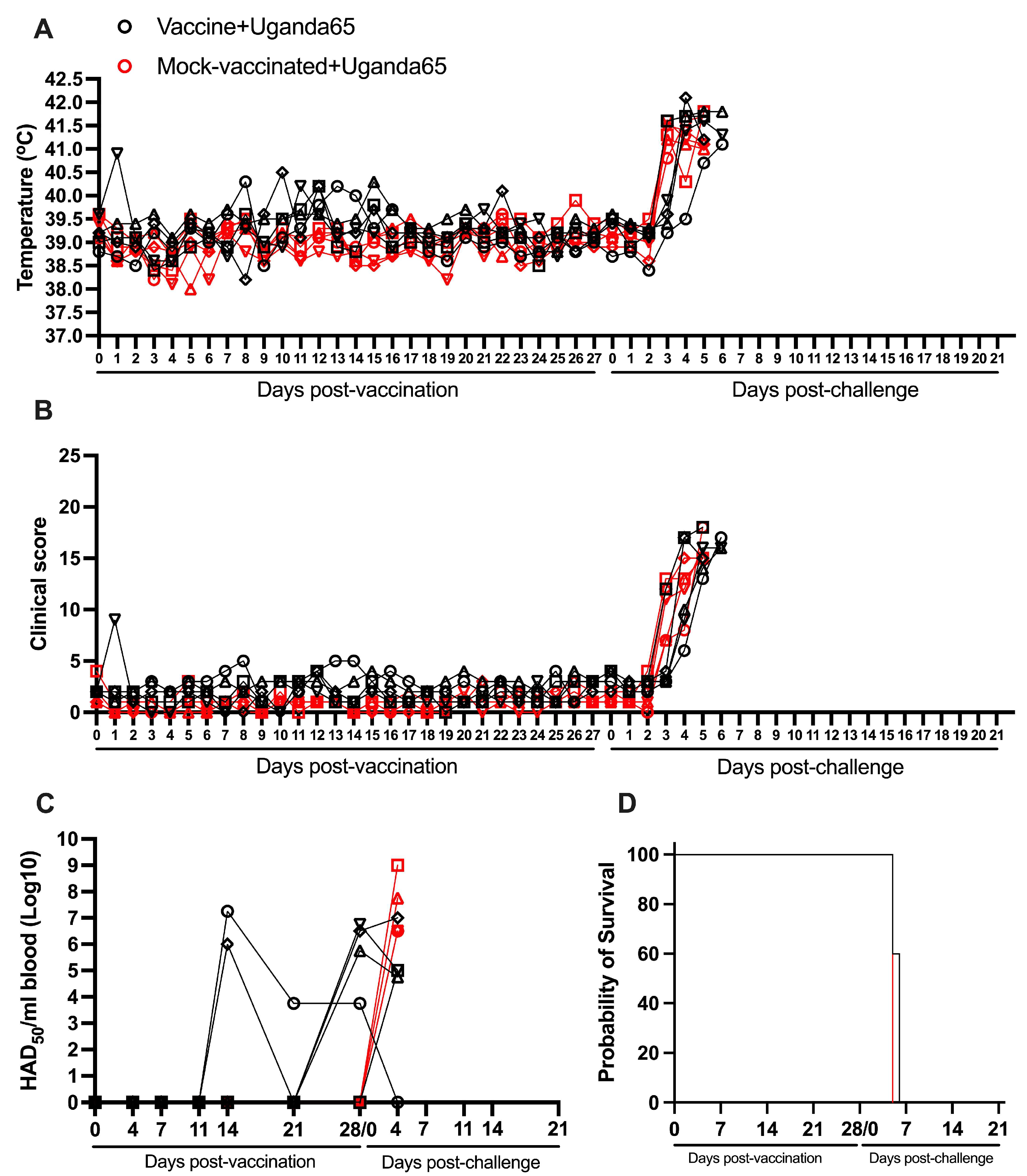 Vaccines 13 00858 g007