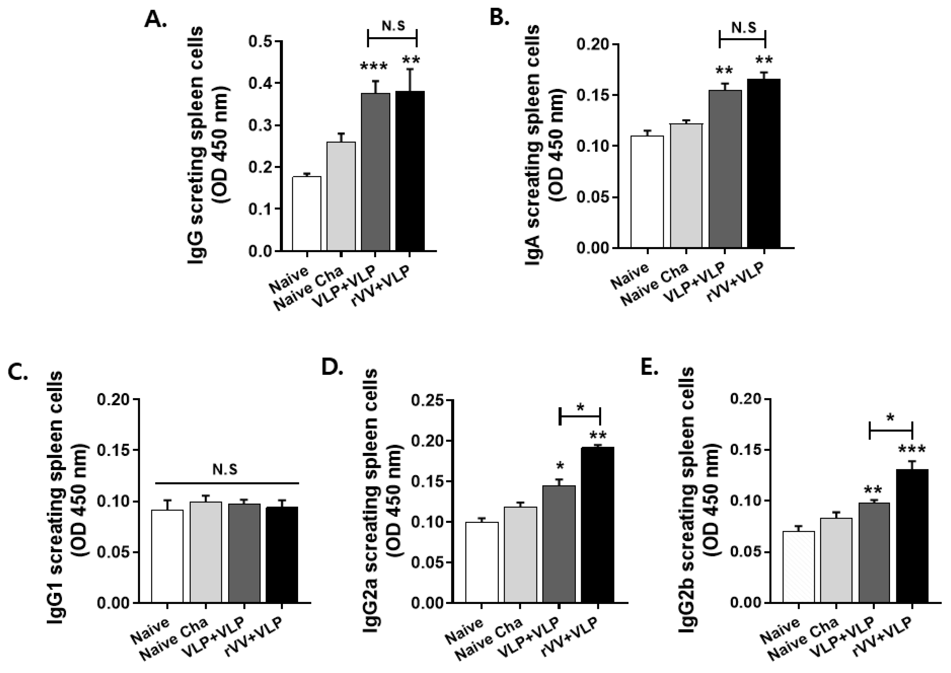 Vaccines 13 00862 g004