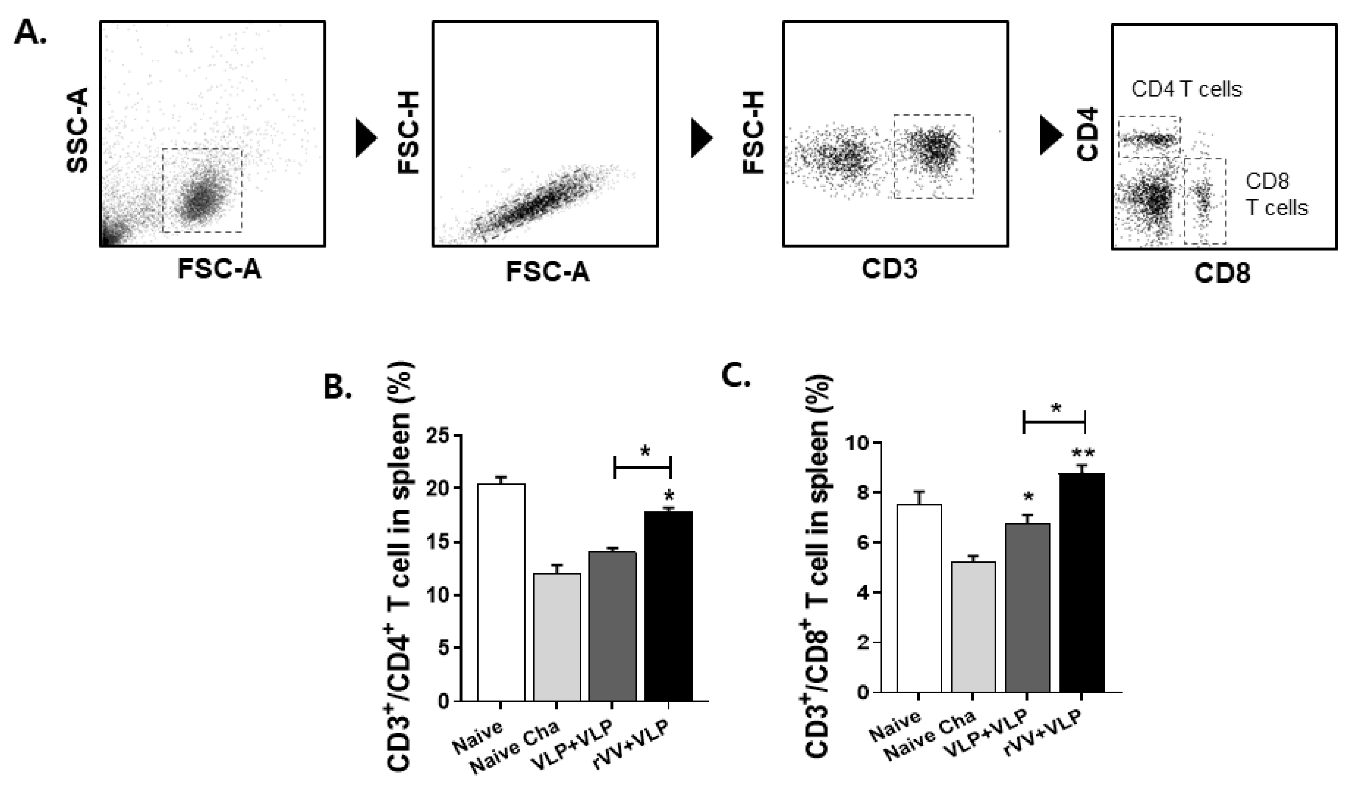 Vaccines 13 00862 g005