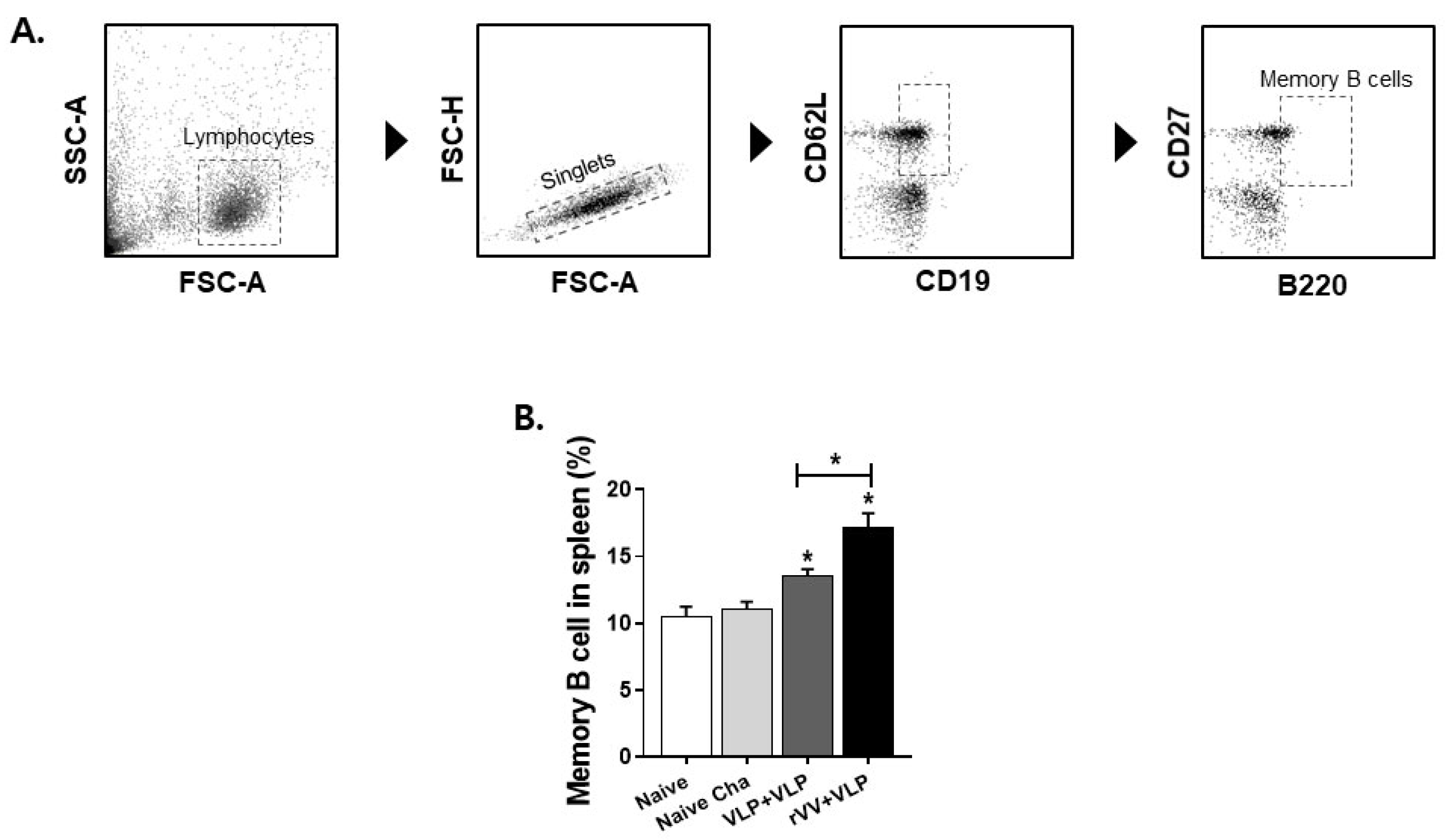 Vaccines 13 00862 g006