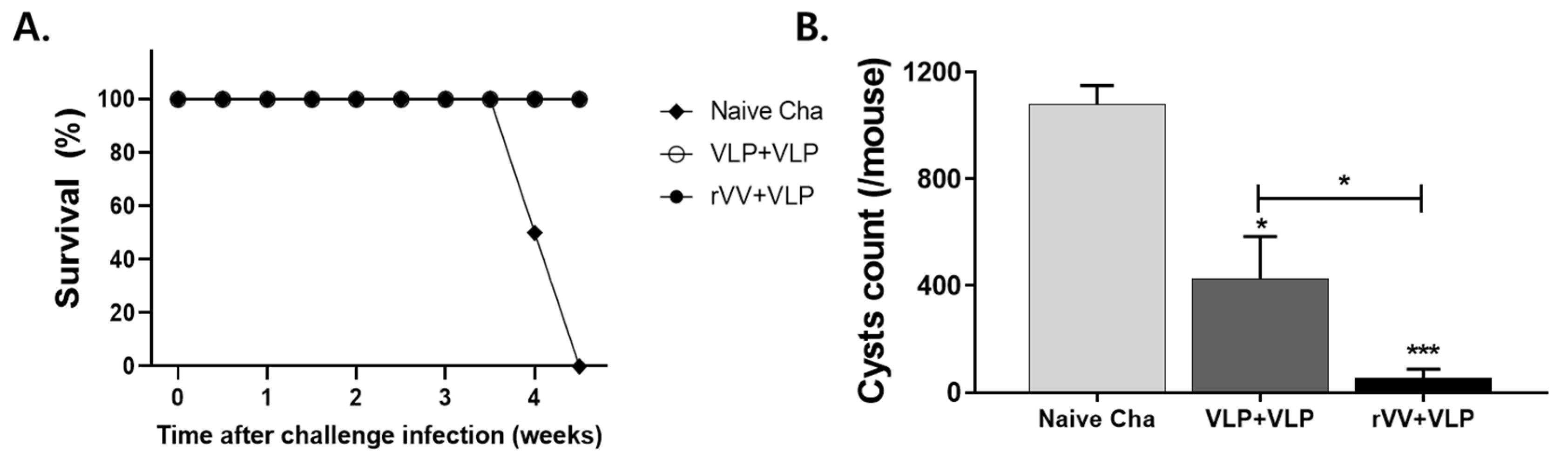Vaccines 13 00862 g007