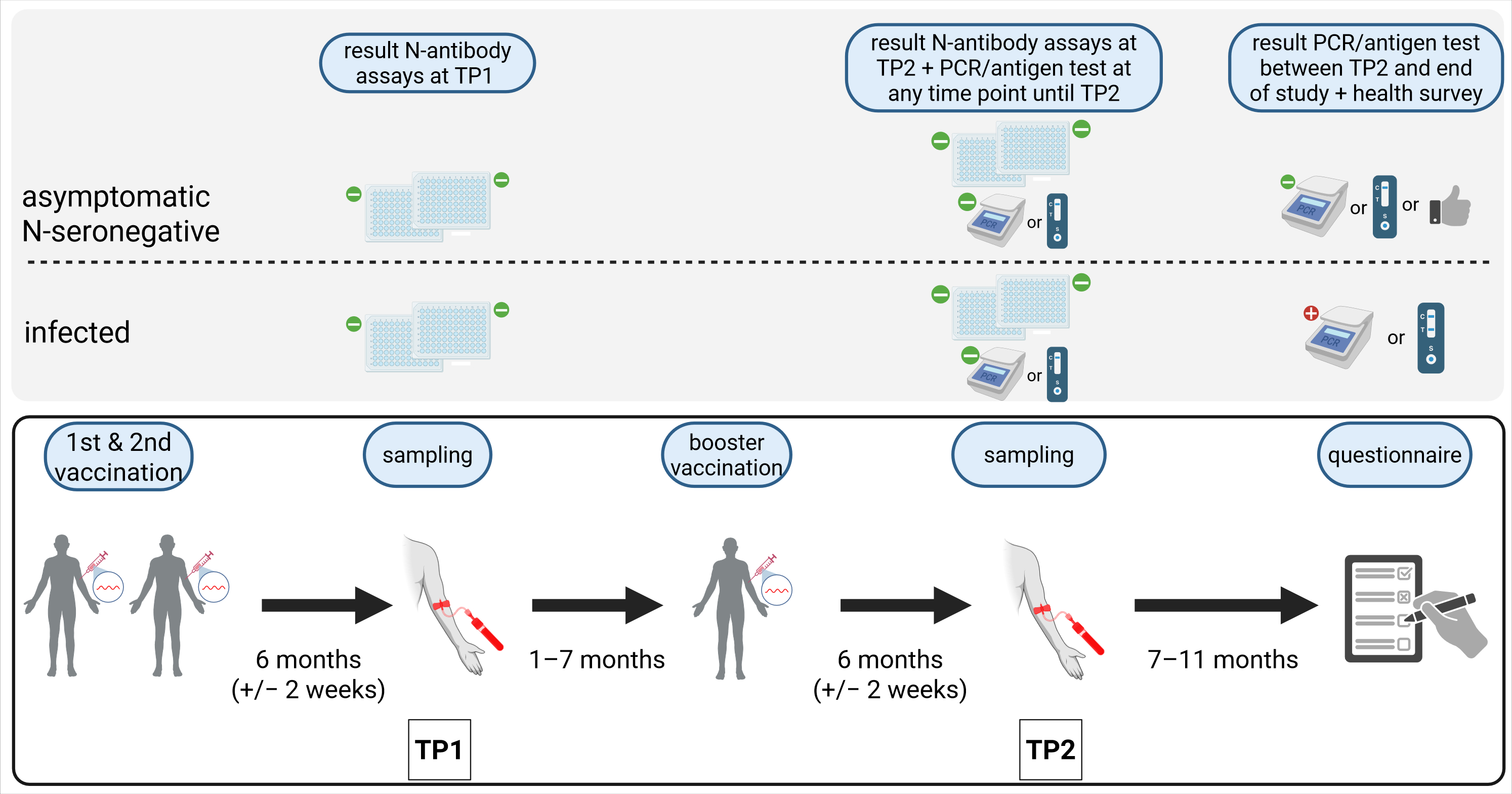 Vaccines 13 00867 g0a1 Vaccines 13 00867 g0a1