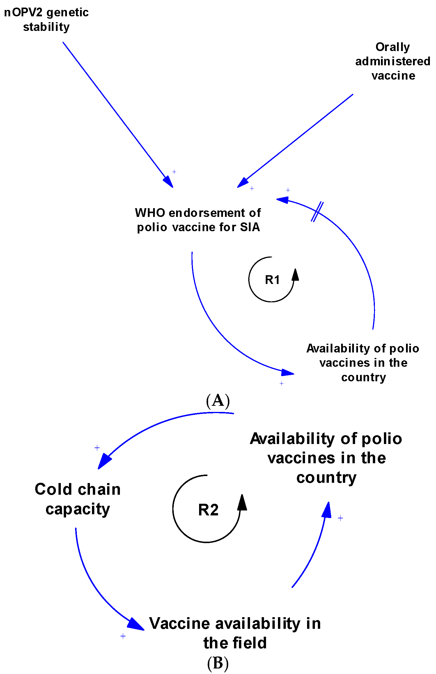 Vaccines 13 00870 g003a Vaccines 13 00870 g003a
