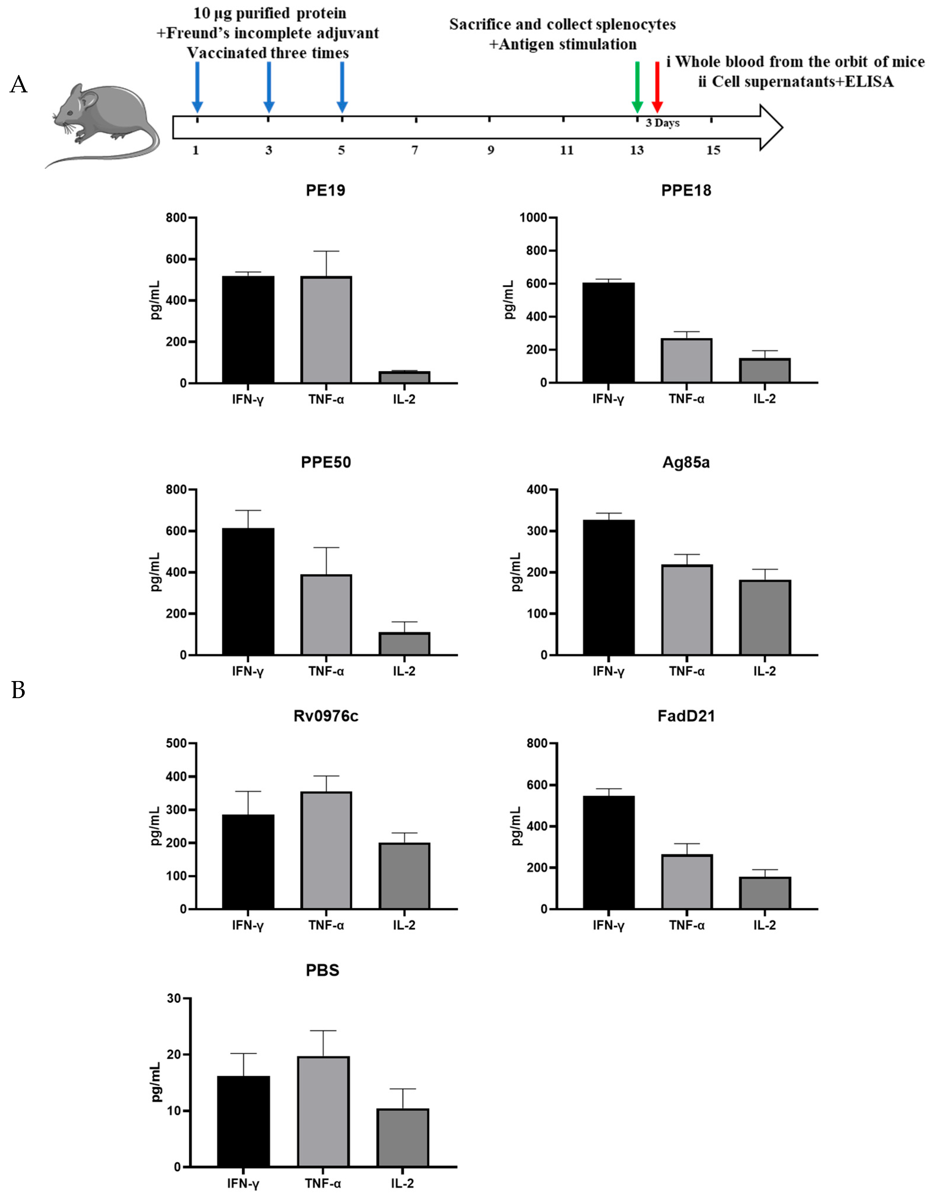 Vaccines 13 00872 g002 Vaccines 13 00872 g002