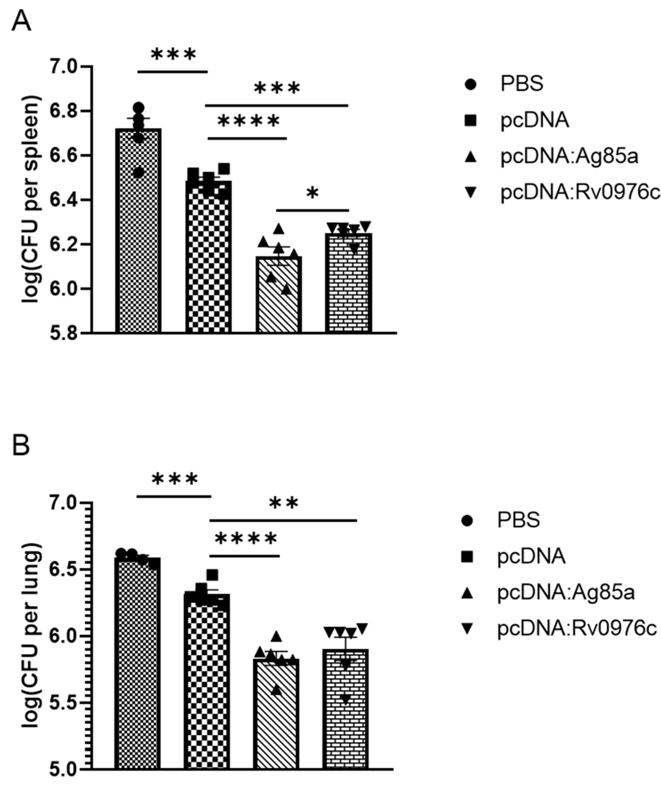 Vaccines 13 00872 g004 Vaccines 13 00872 g004