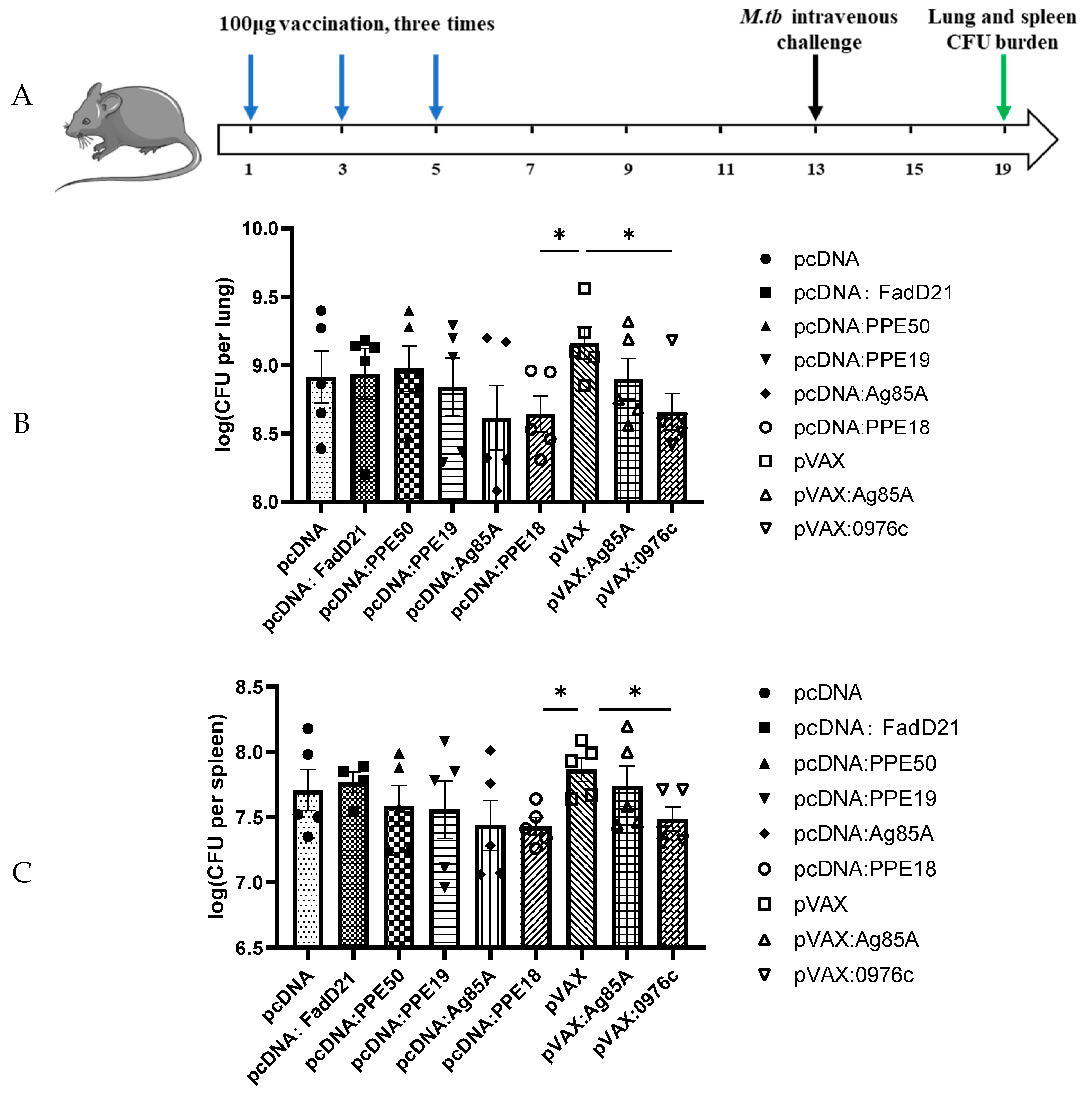Vaccines 13 00872 g005 Vaccines 13 00872 g005