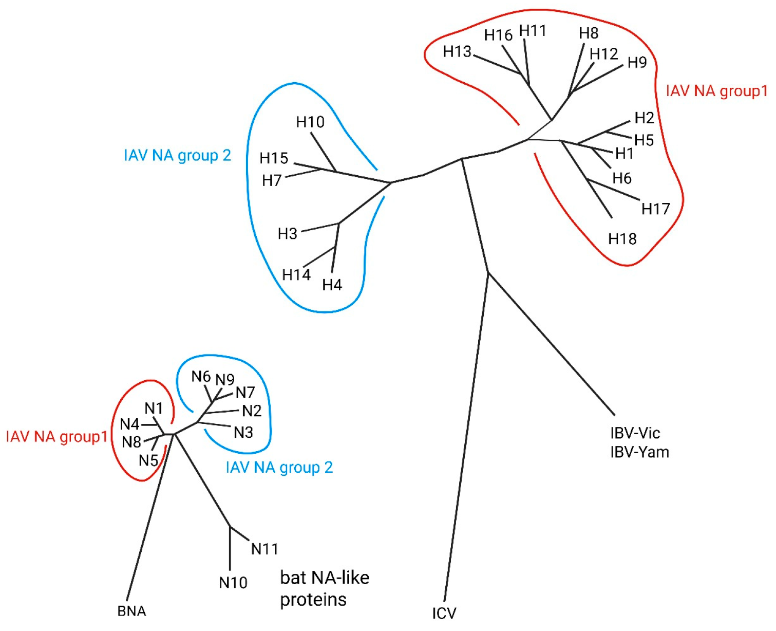 Vaccines 13 00890 g003 Vaccines 13 00890 g003