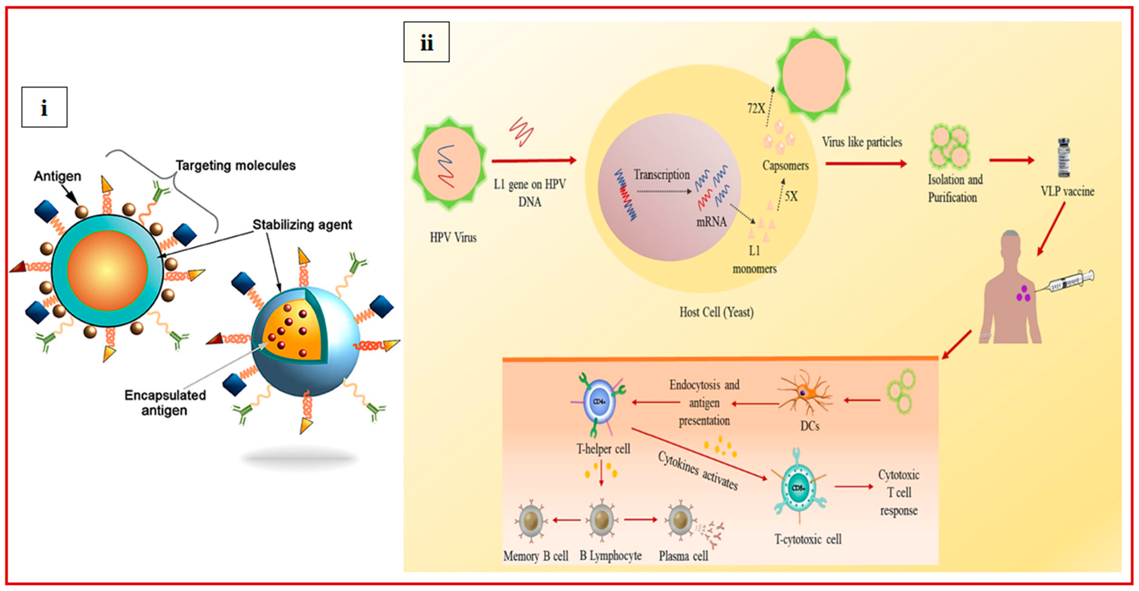 Vaccines 13 00890 g005 Vaccines 13 00890 g005