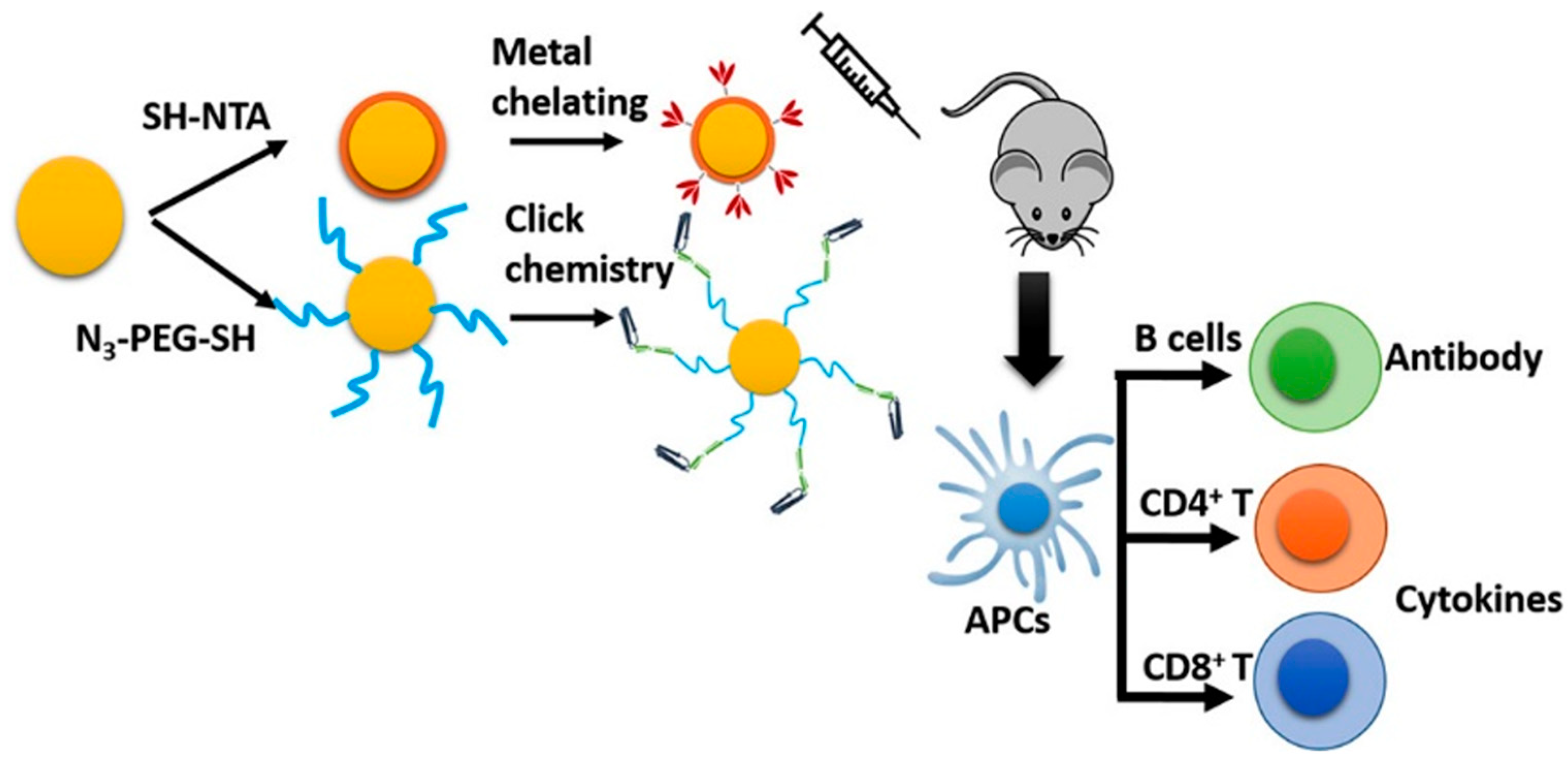 Vaccines 13 00890 g006 Vaccines 13 00890 g006