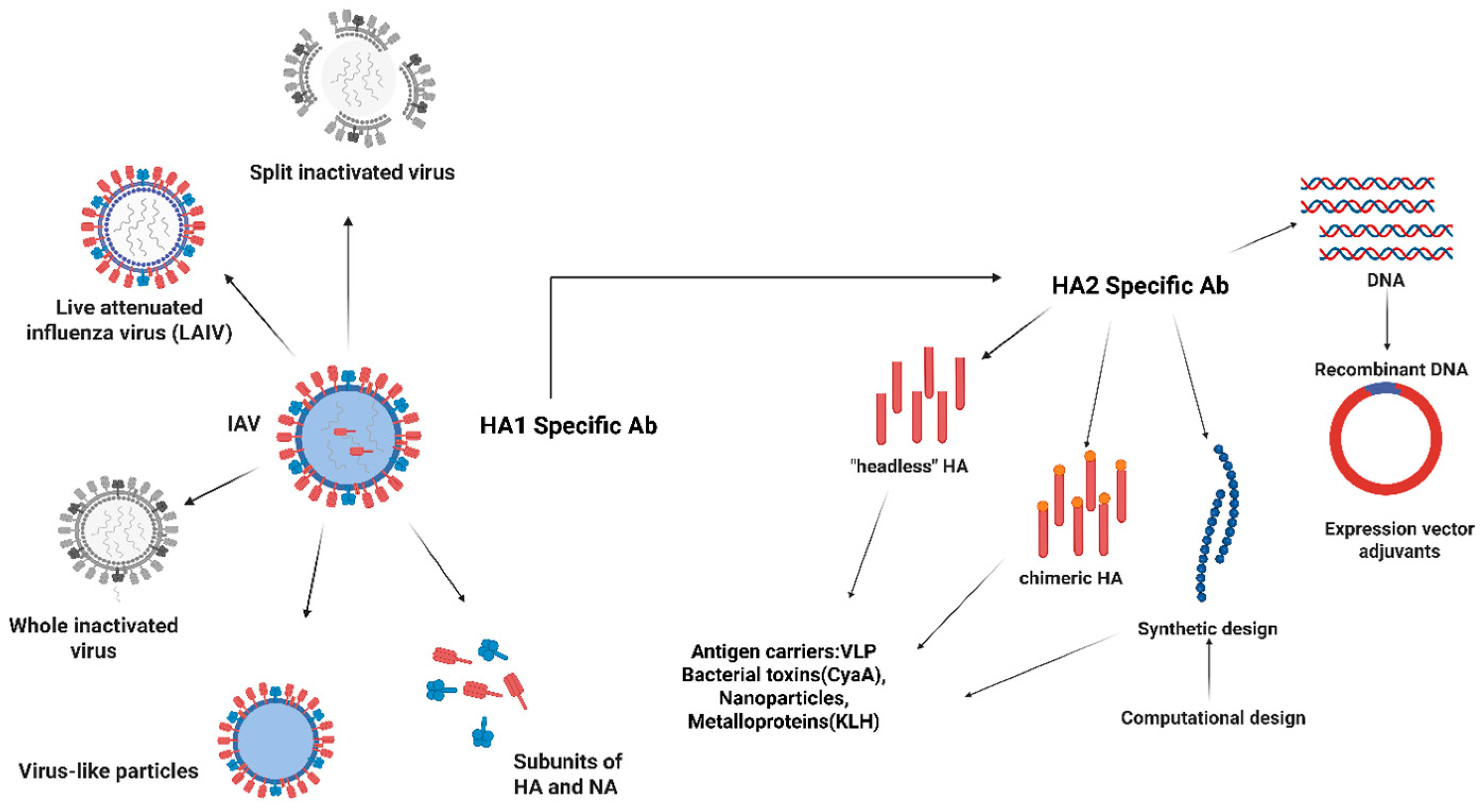 Vaccines 13 00890 g008 Vaccines 13 00890 g008