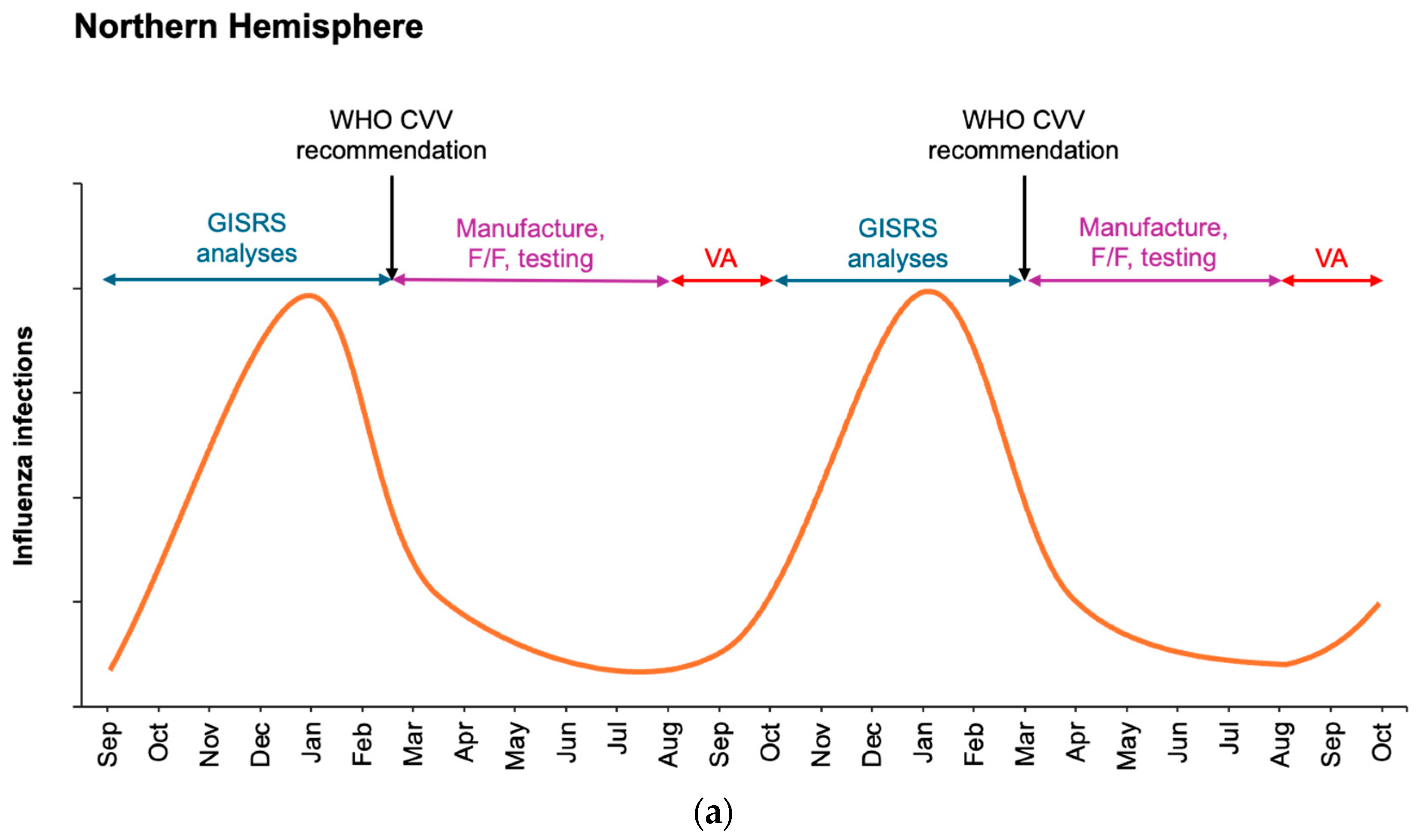 Vaccines 13 00891 g001a Vaccines 13 00891 g001a