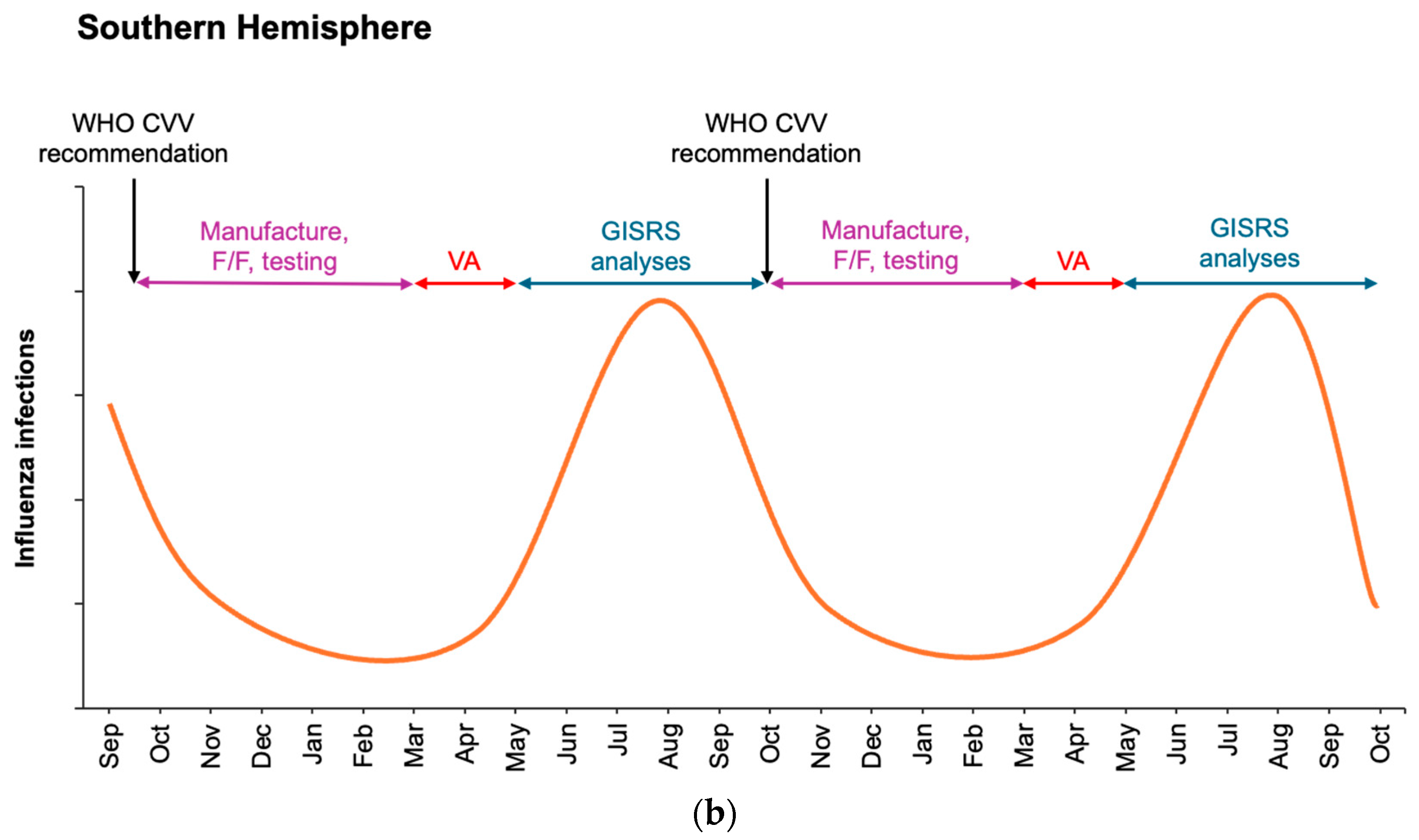 Vaccines 13 00891 g001b Vaccines 13 00891 g001b