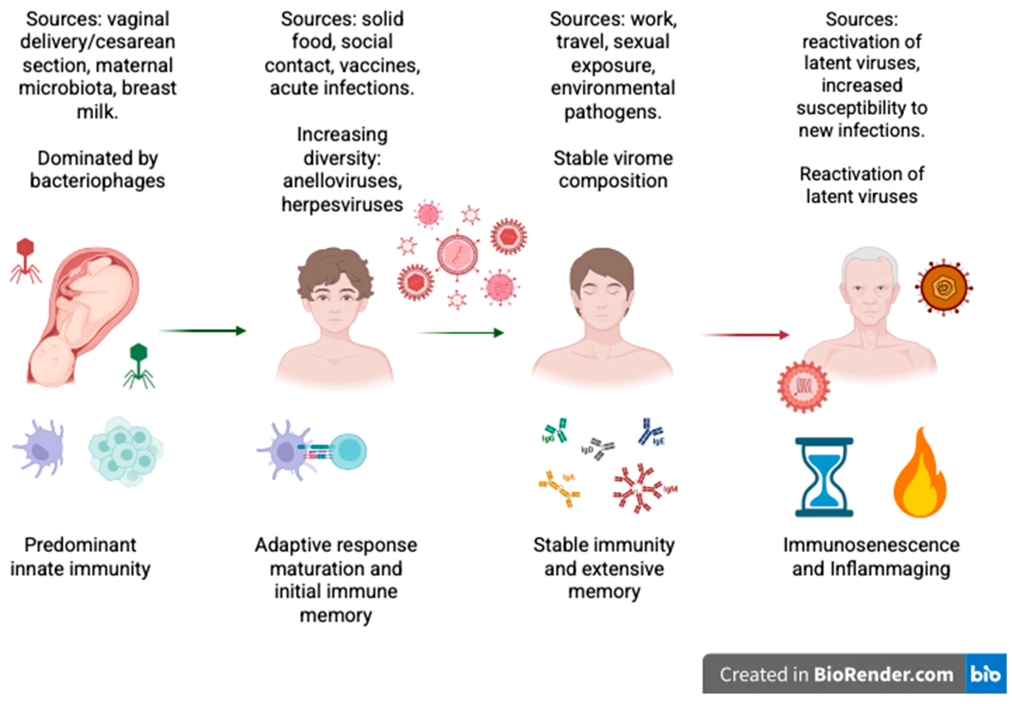 Vaccines 13 00895 g001