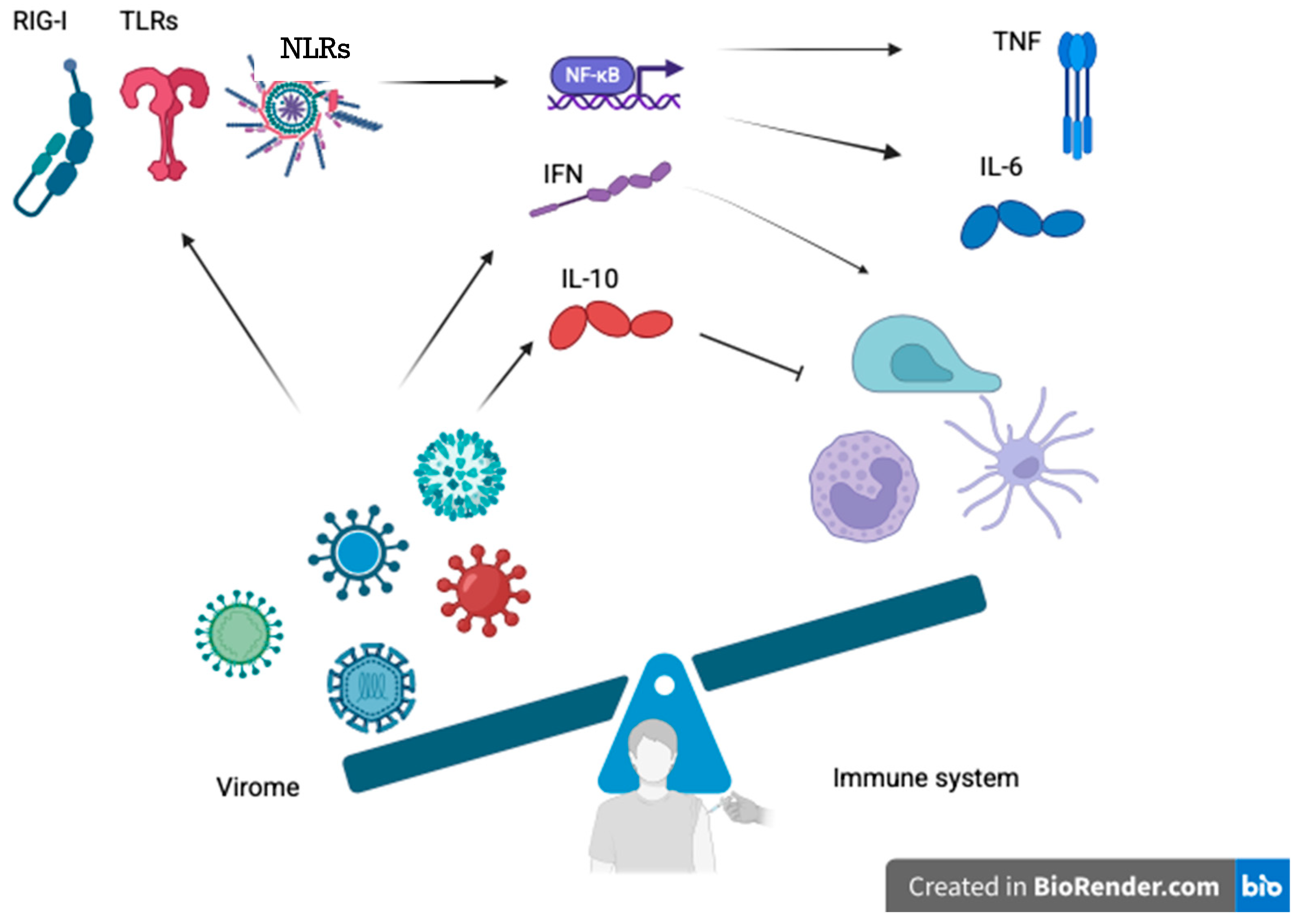 Vaccines 13 00895 g002