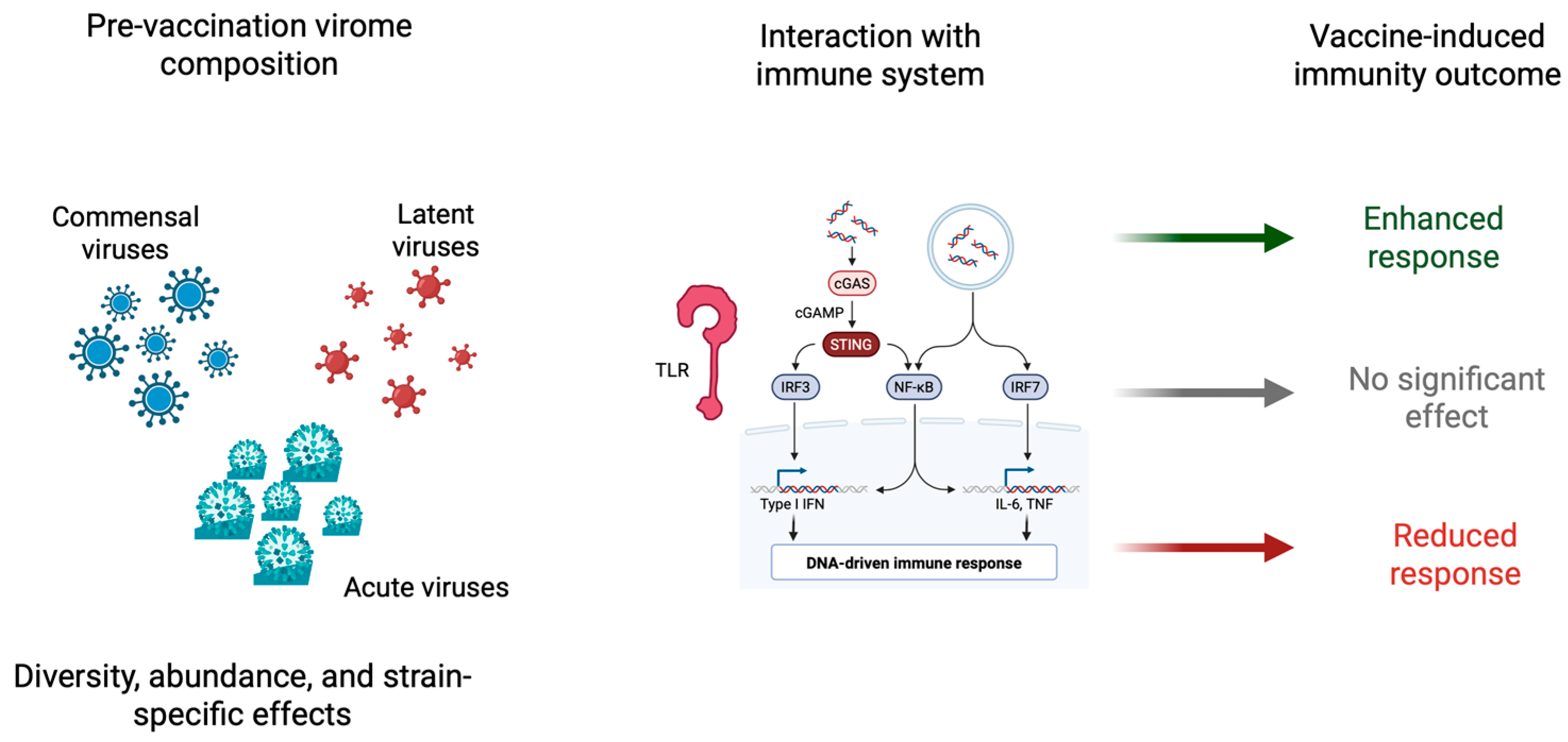 Vaccines 13 00895 g003