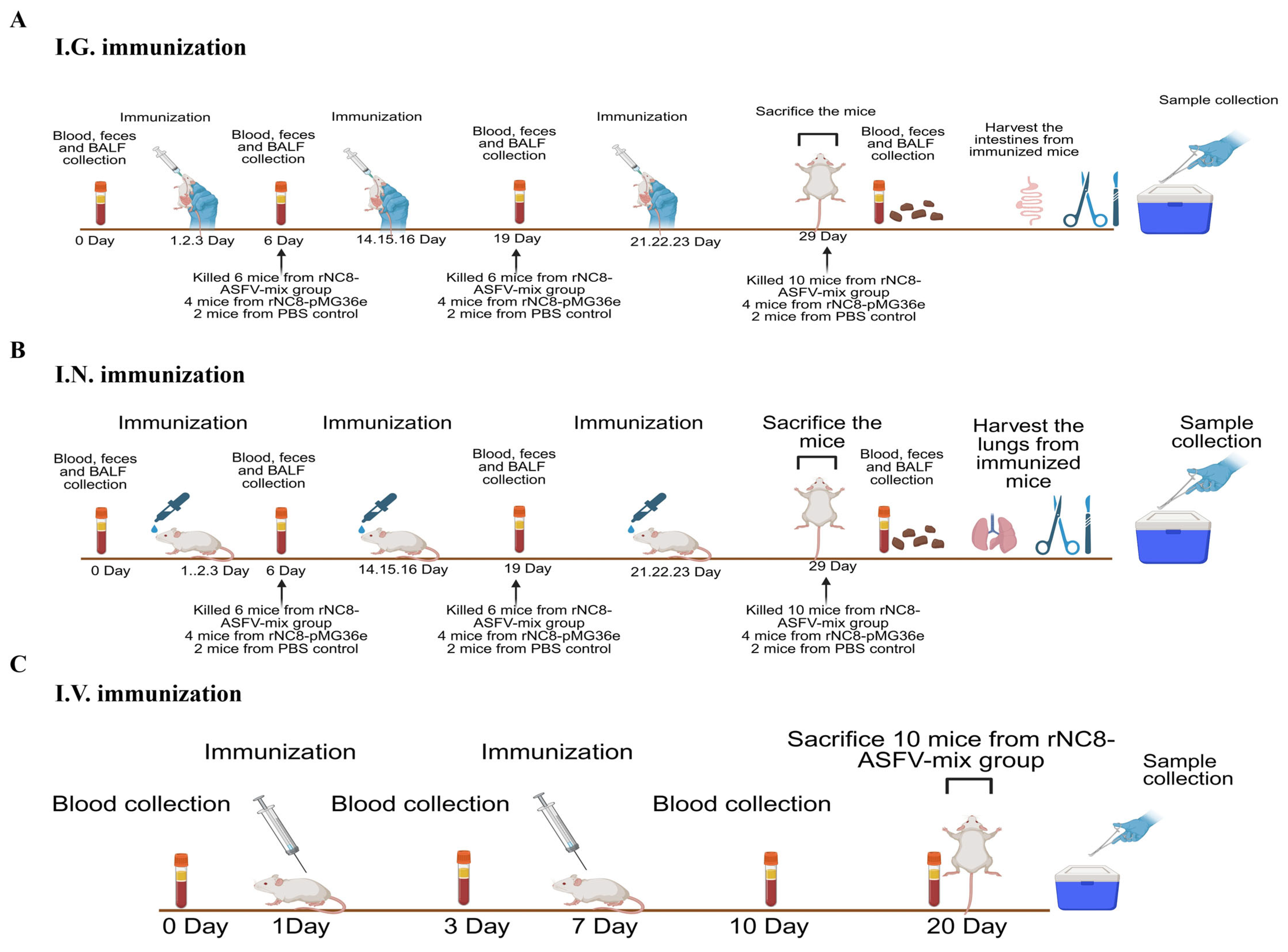 Vaccines 13 00897 g002 Vaccines 13 00897 g002