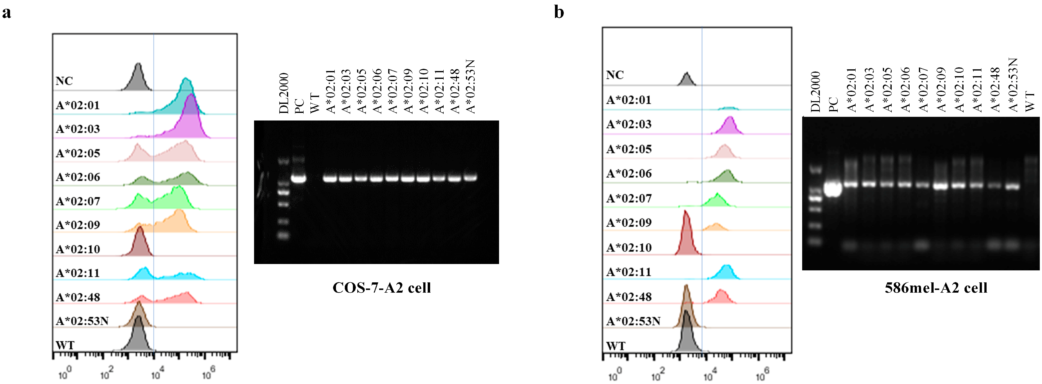 Vaccines 13 00898 g001 Vaccines 13 00898 g001