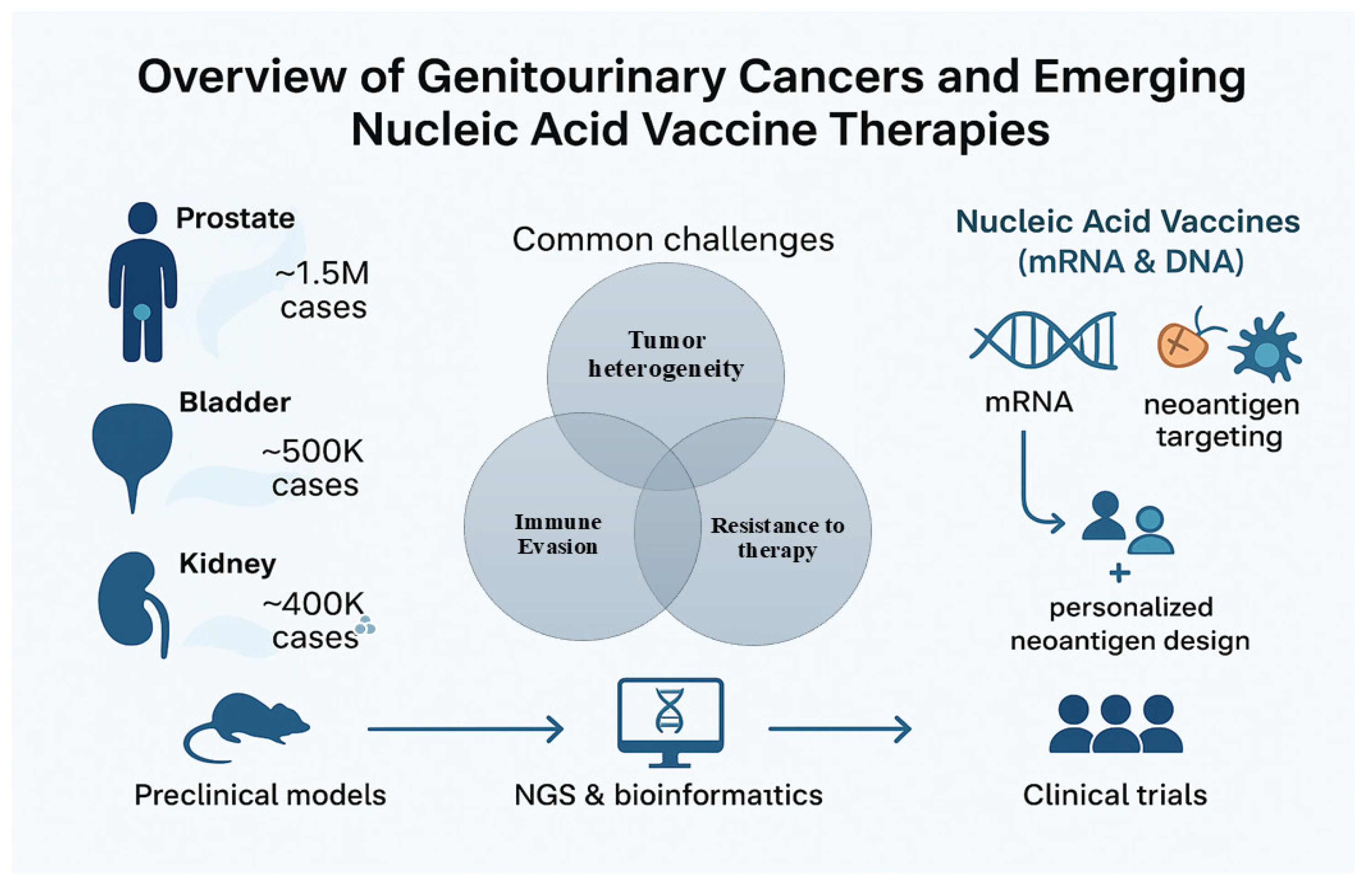 Vaccines 13 00899 g001