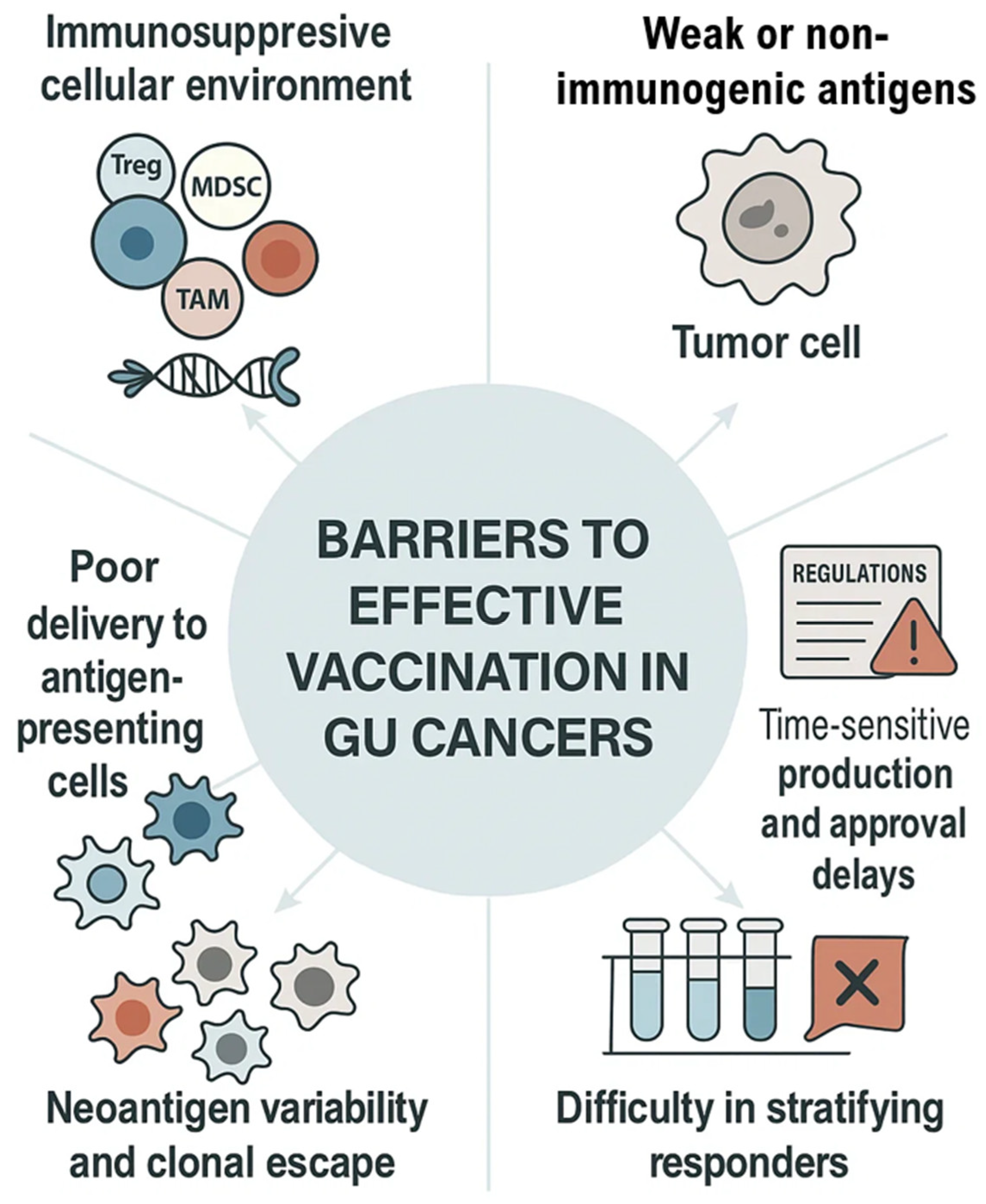Vaccines 13 00899 g005
