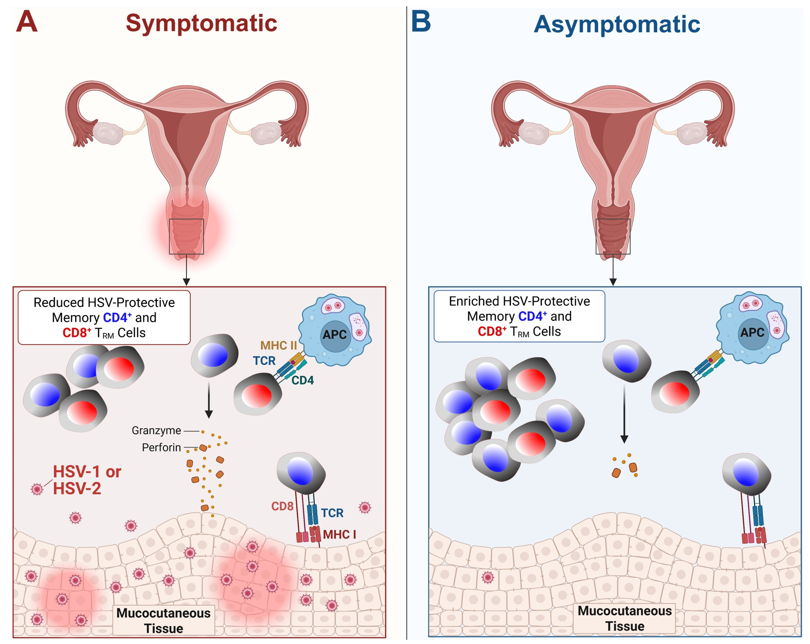 Vaccines 13 00908 g003 Vaccines 13 00908 g003